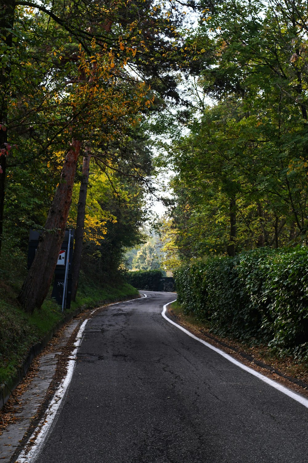 an empty road in the middle of a wooded area