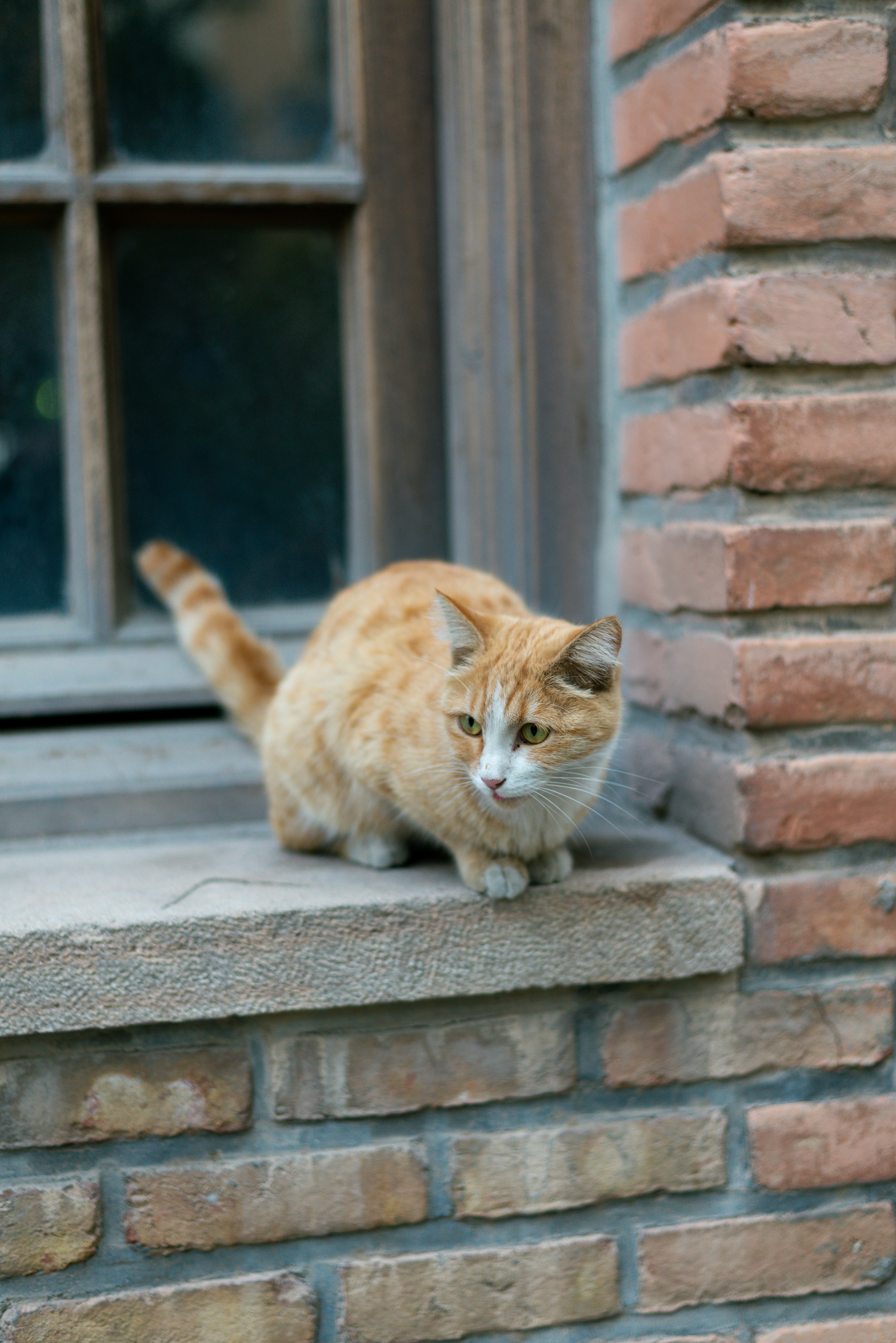 Clinginess: When Too Much Attention Becomes Expected (image credits: unsplash)