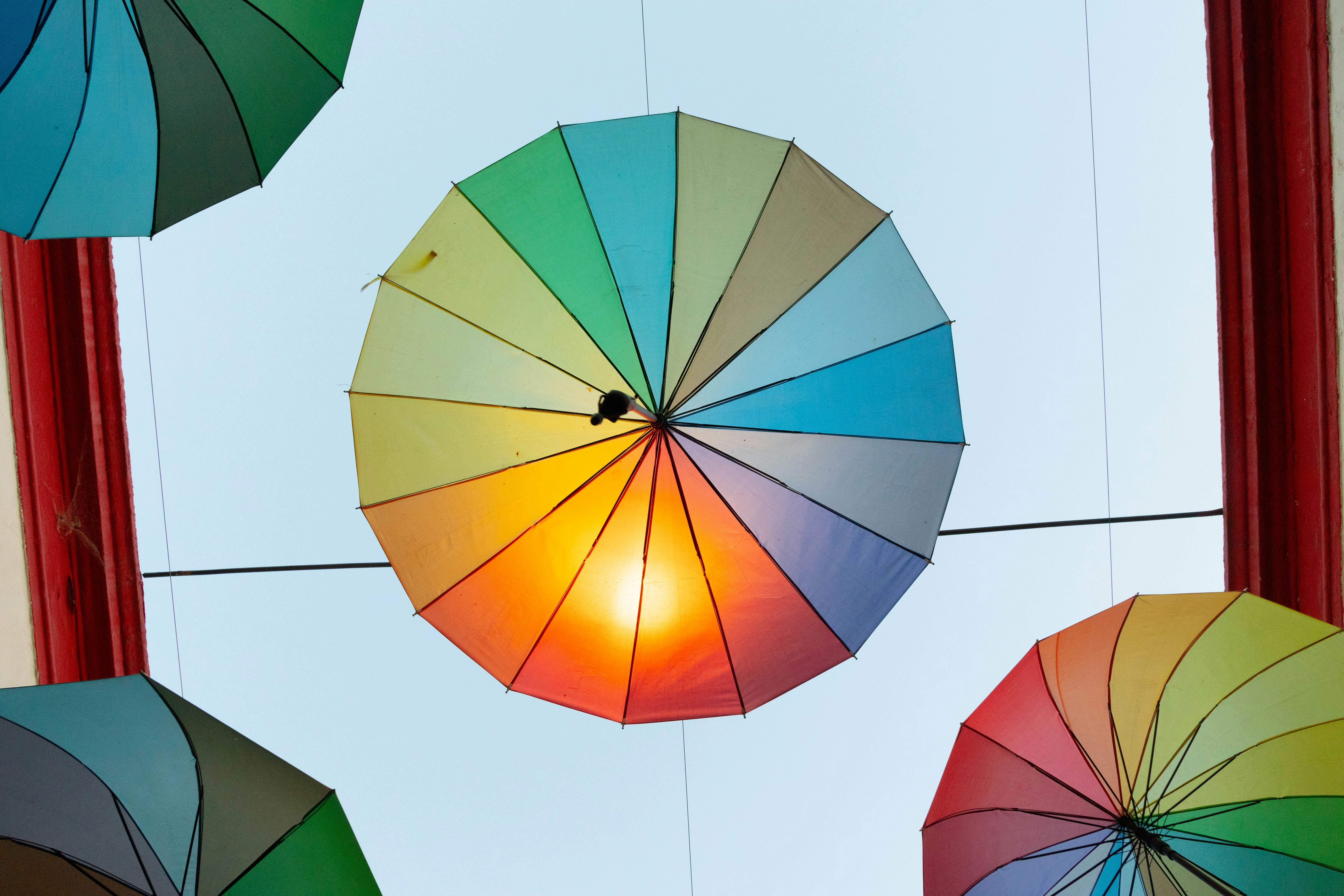 Photo by gustavo0351