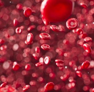 a red liquid filled with lots of bubbles