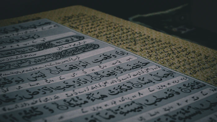 Close-up of Arabic calligraphy on a page, warm light falling across the writing.