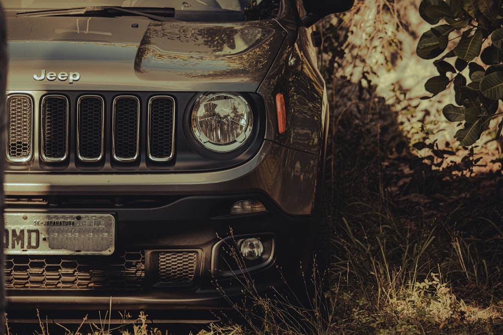 a jeep is parked in a grassy area