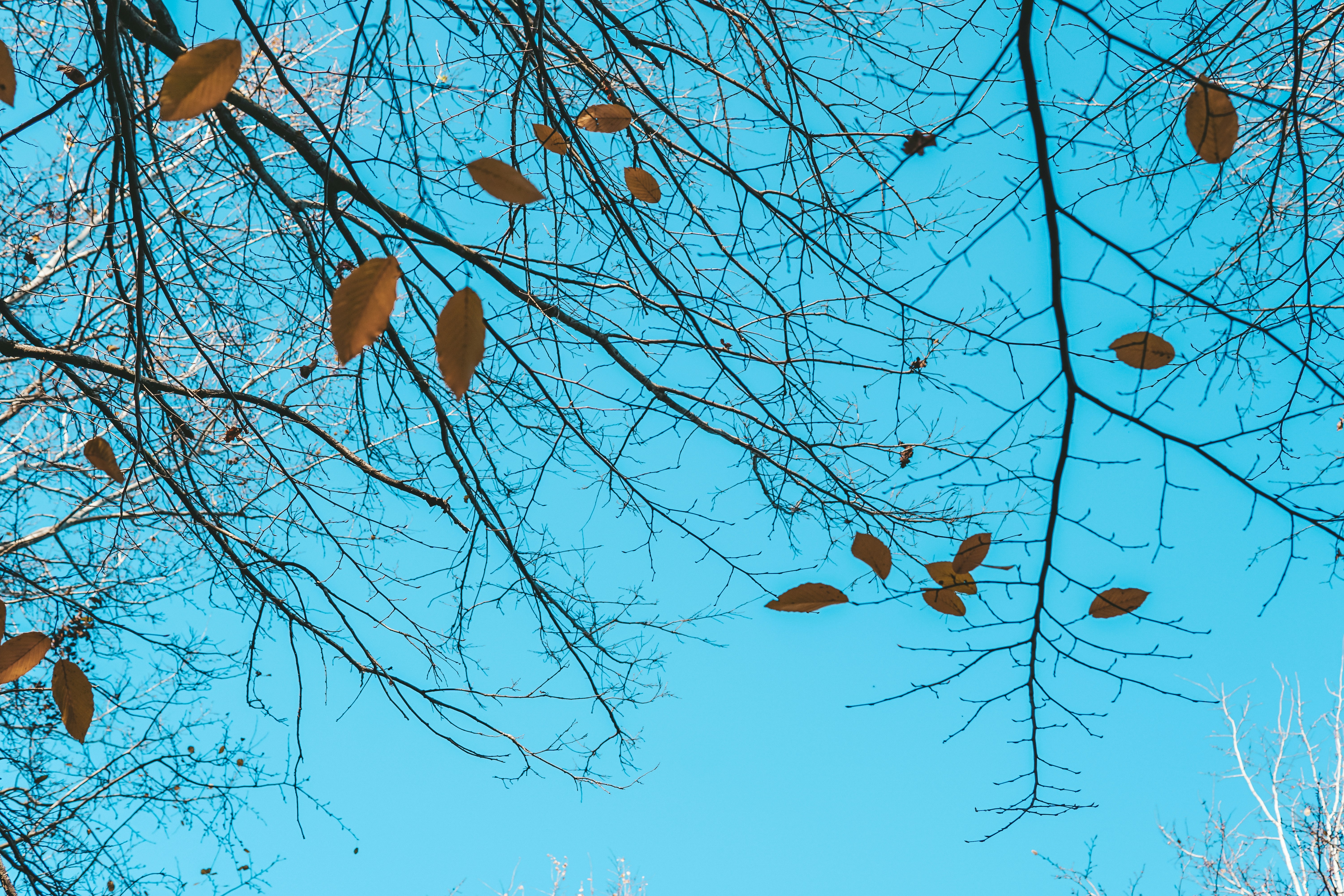 Photo by mertkahveci