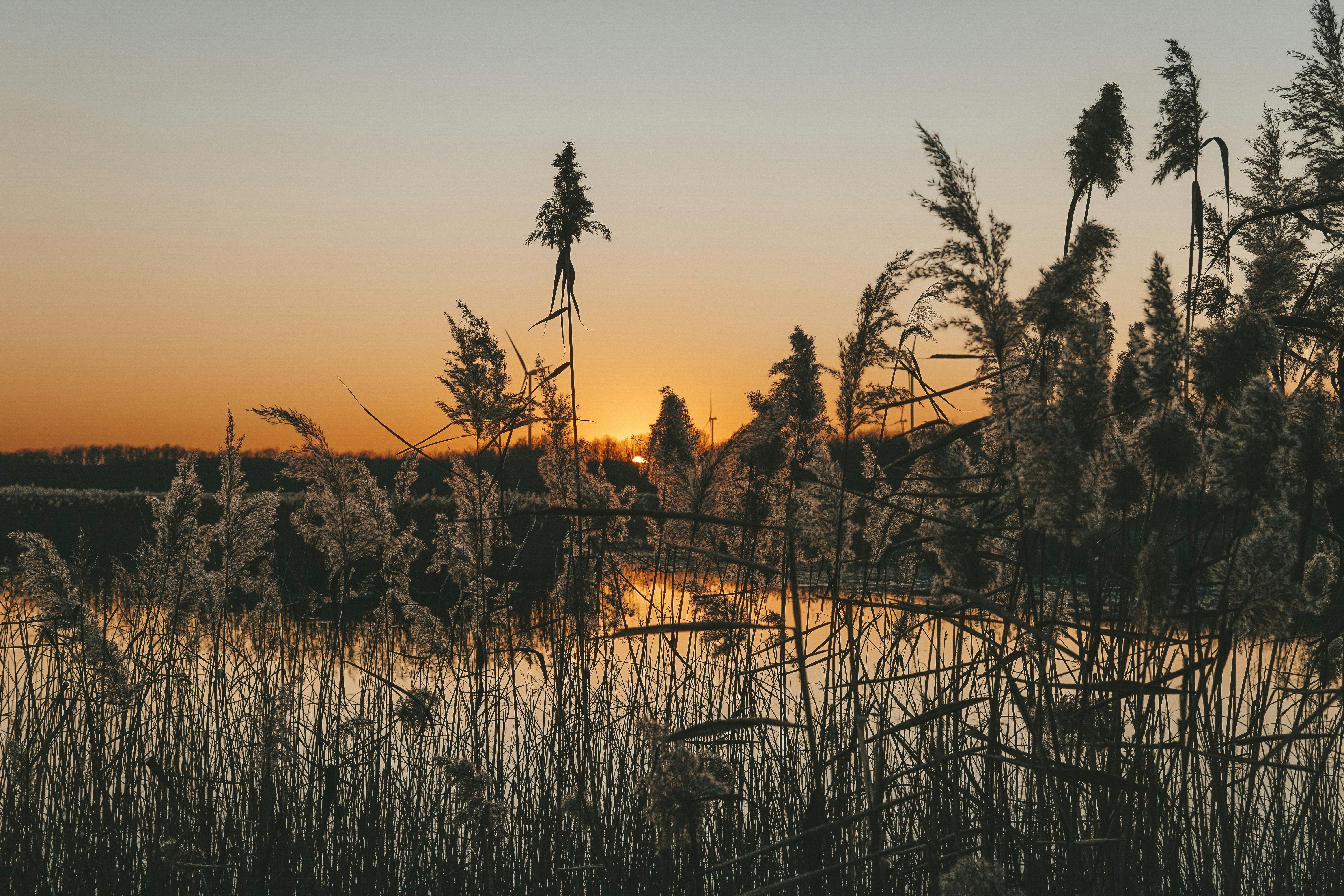 Photo by mertkahveci