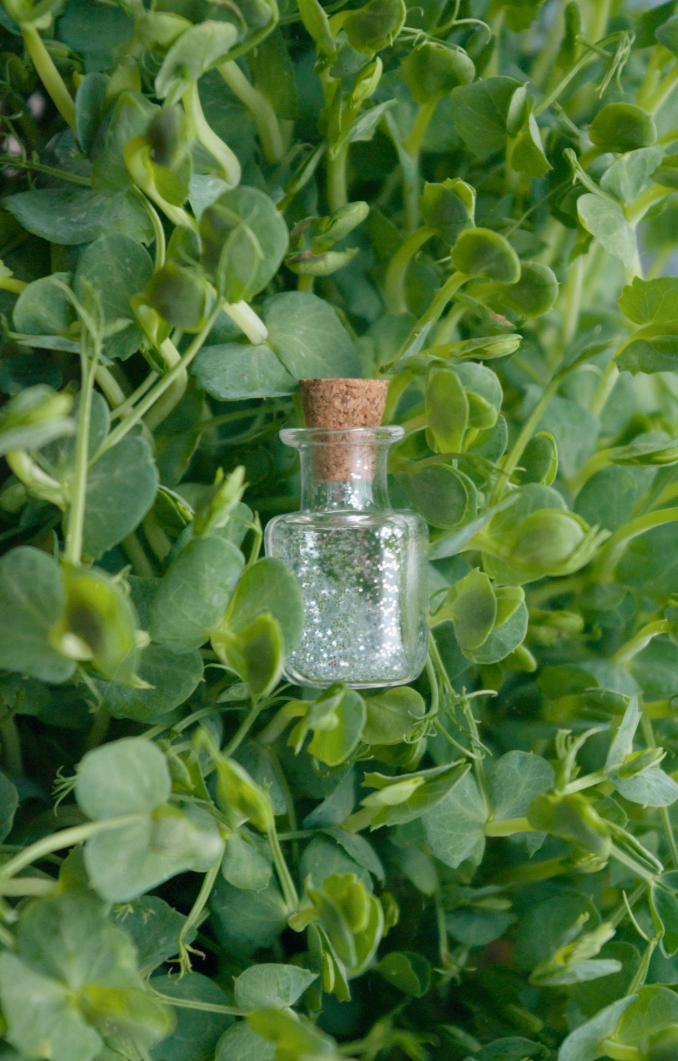 A bottle of herbicide