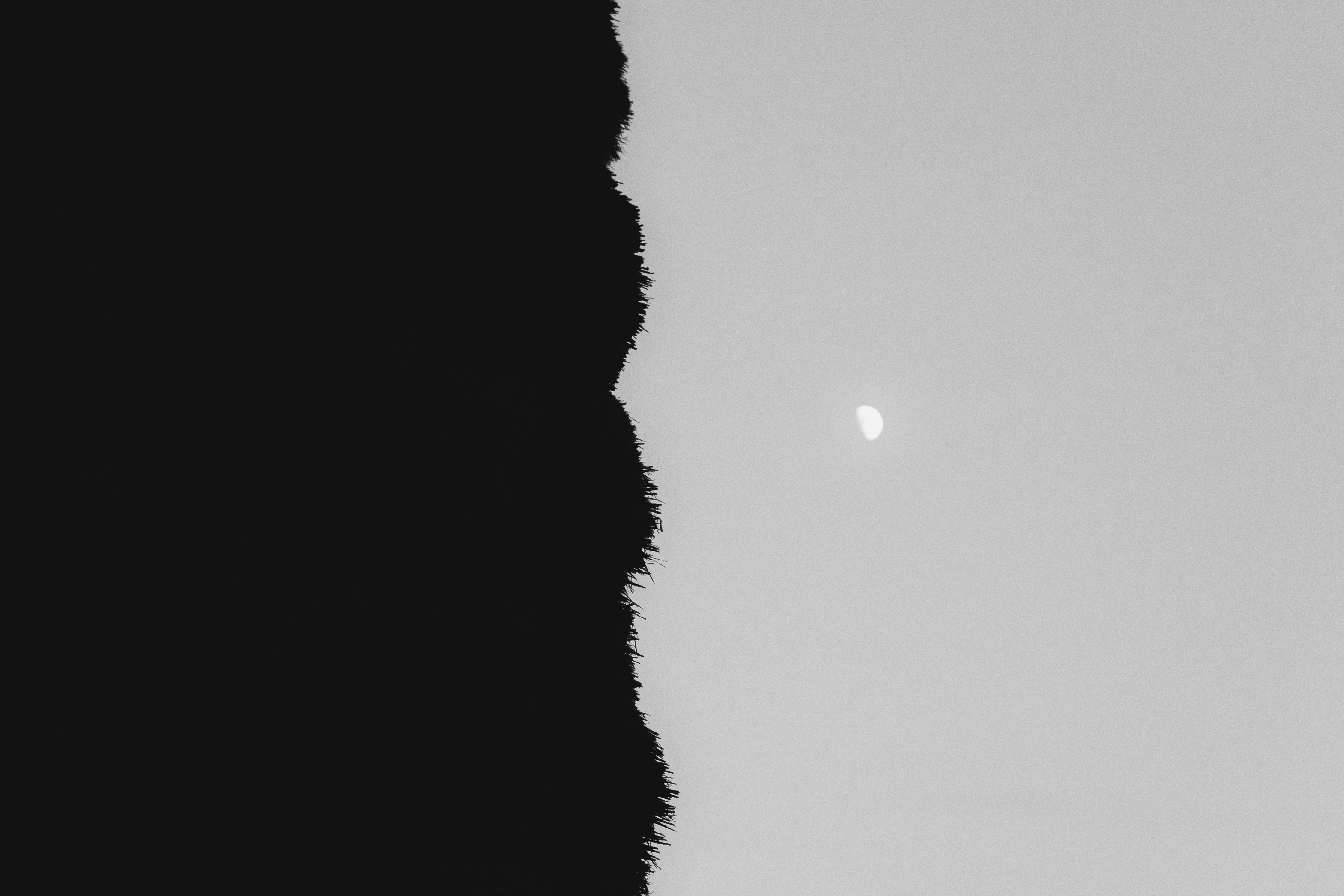 Photo by jeffreyzhang_920