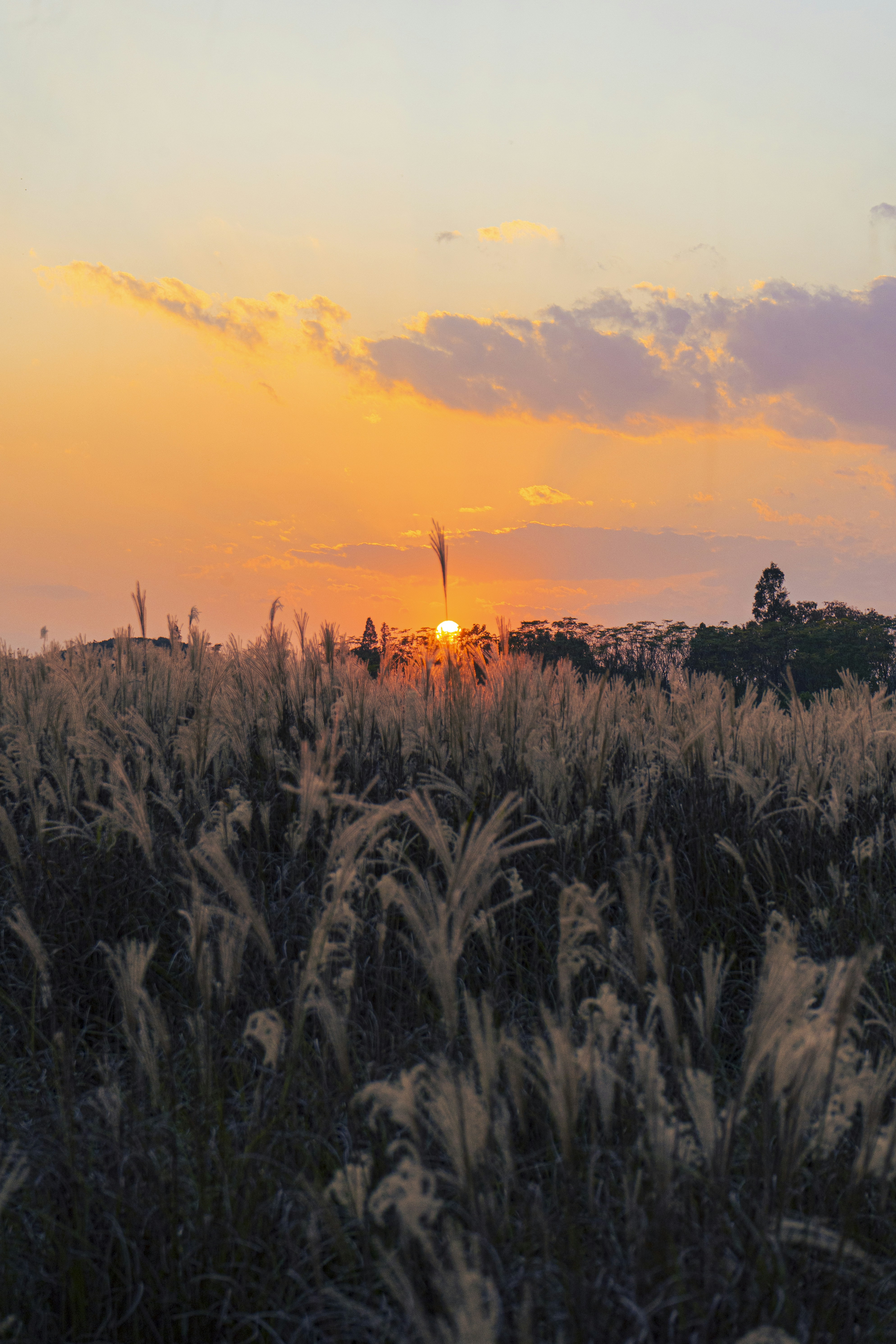 Photo by jeffreyzhang_920