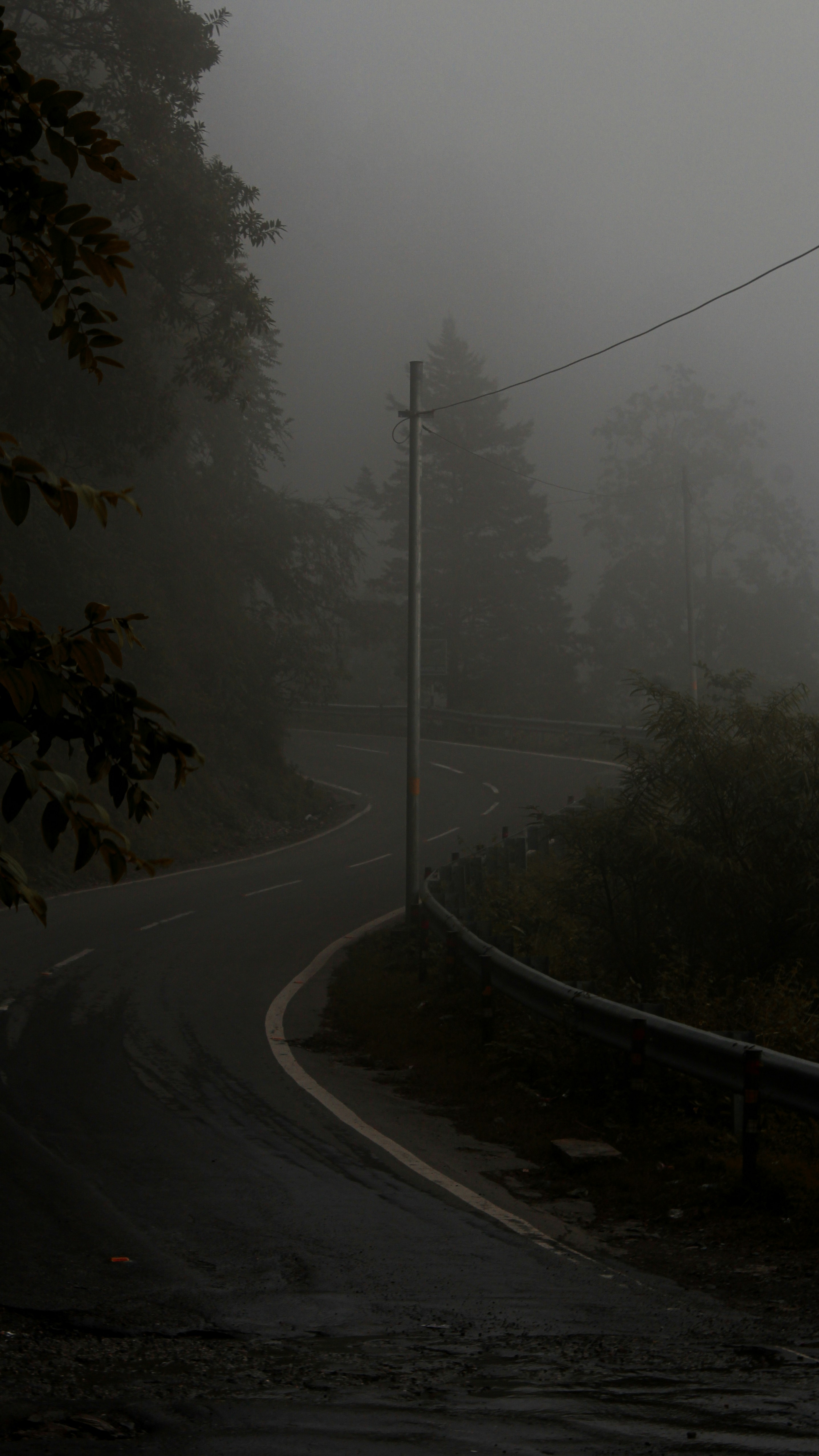 Photo by chitramugdh