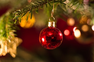 a red ornament hanging from a christmas tree
