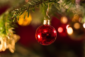 a red ornament hanging from a christmas tree