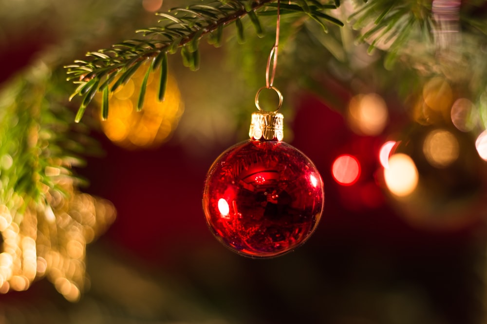 a red ornament hanging from a christmas tree