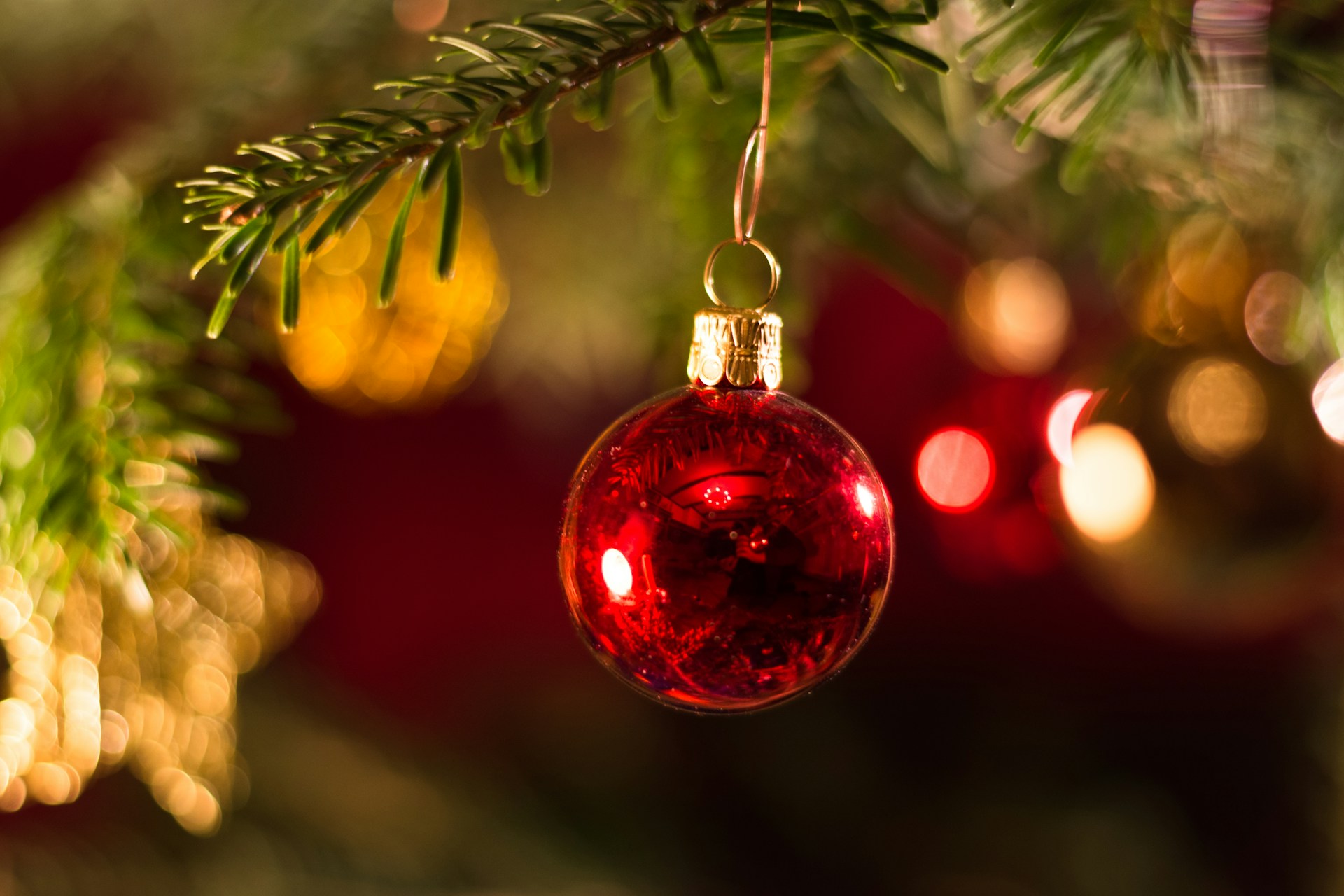 a red ornament hanging from a christmas tree
