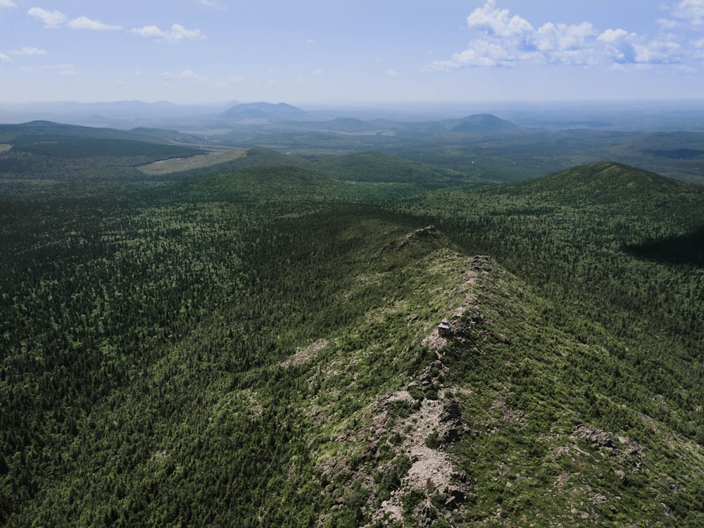 an aerial view of a forest and mountains