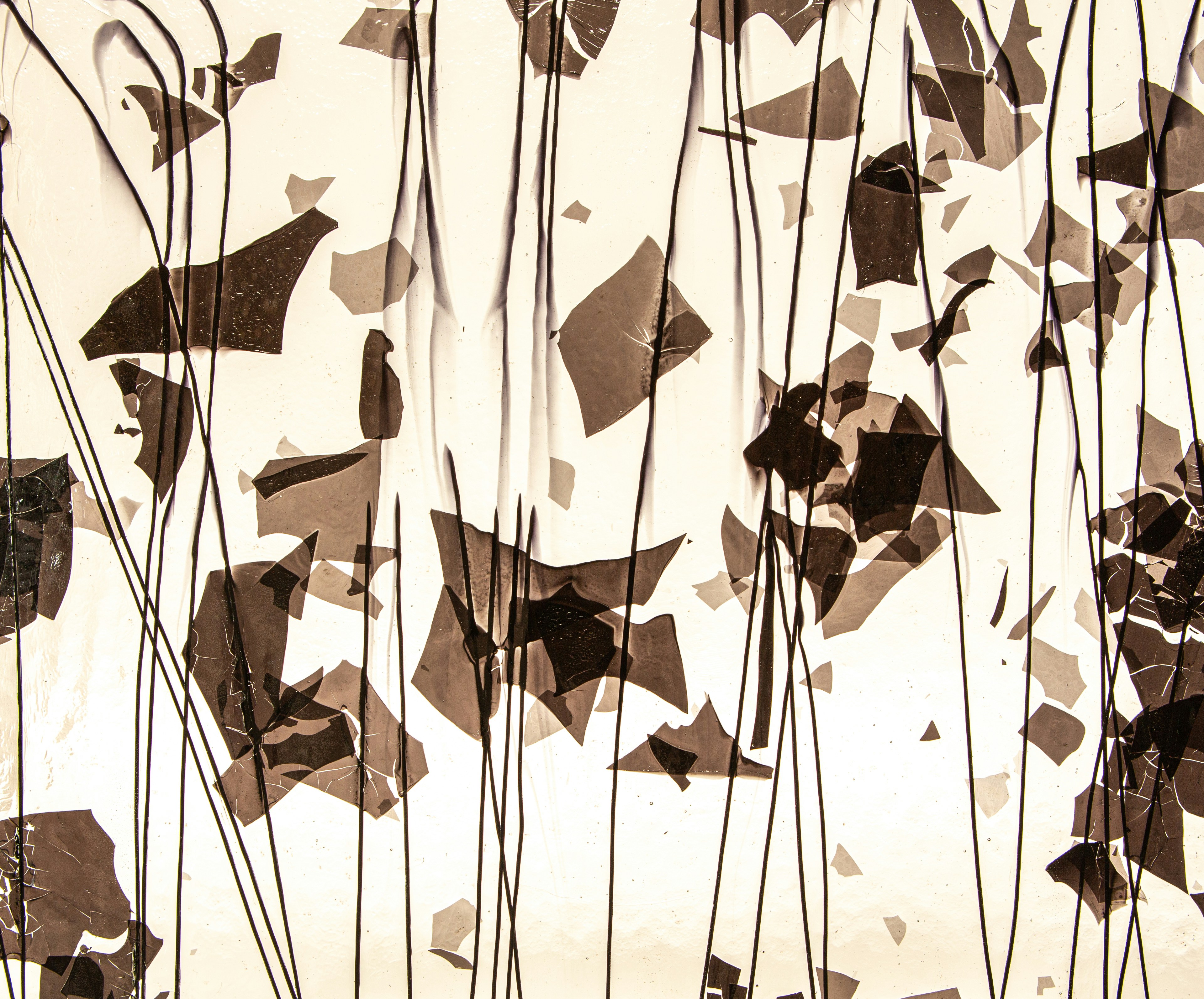 Photo by wilhelmgunkel