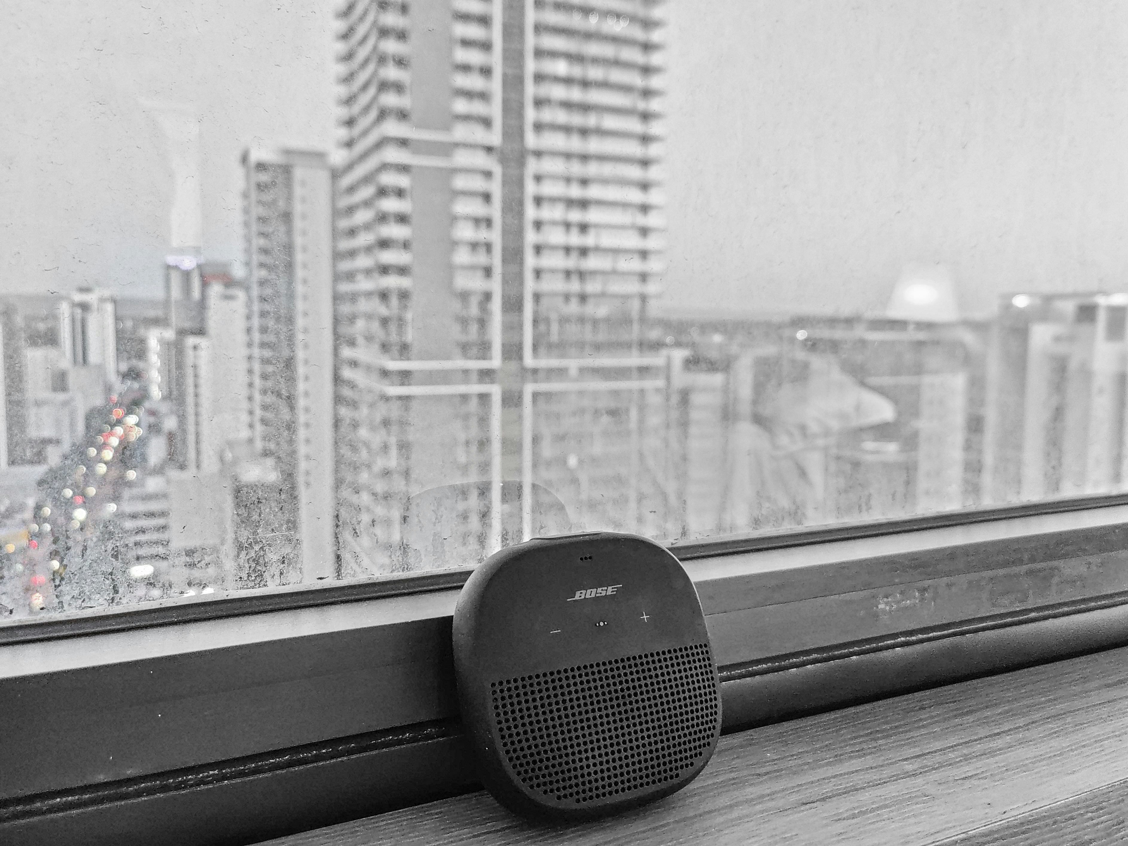 EchoPulse Smart Speaker