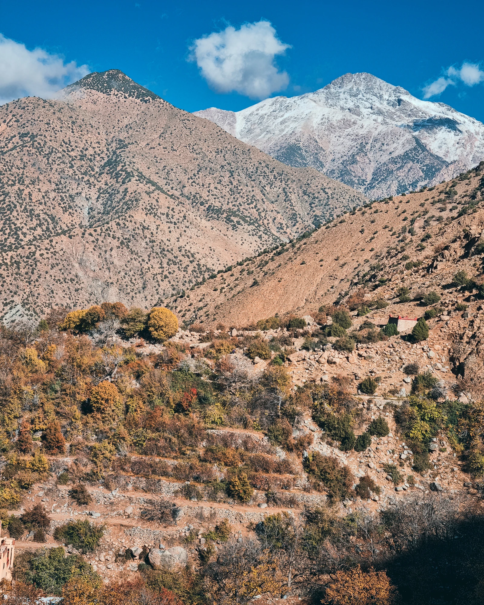 Casa frente a las montañas de Ourika