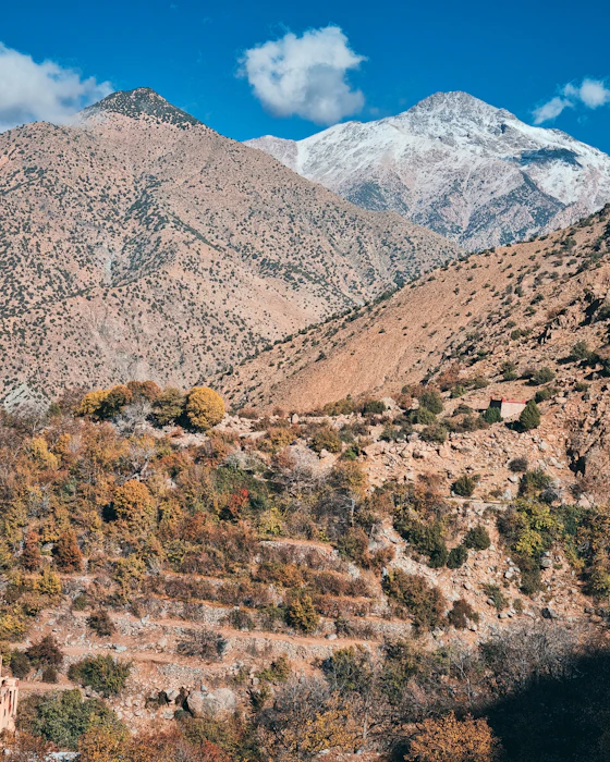 Casa frente a las montañas de Ourika