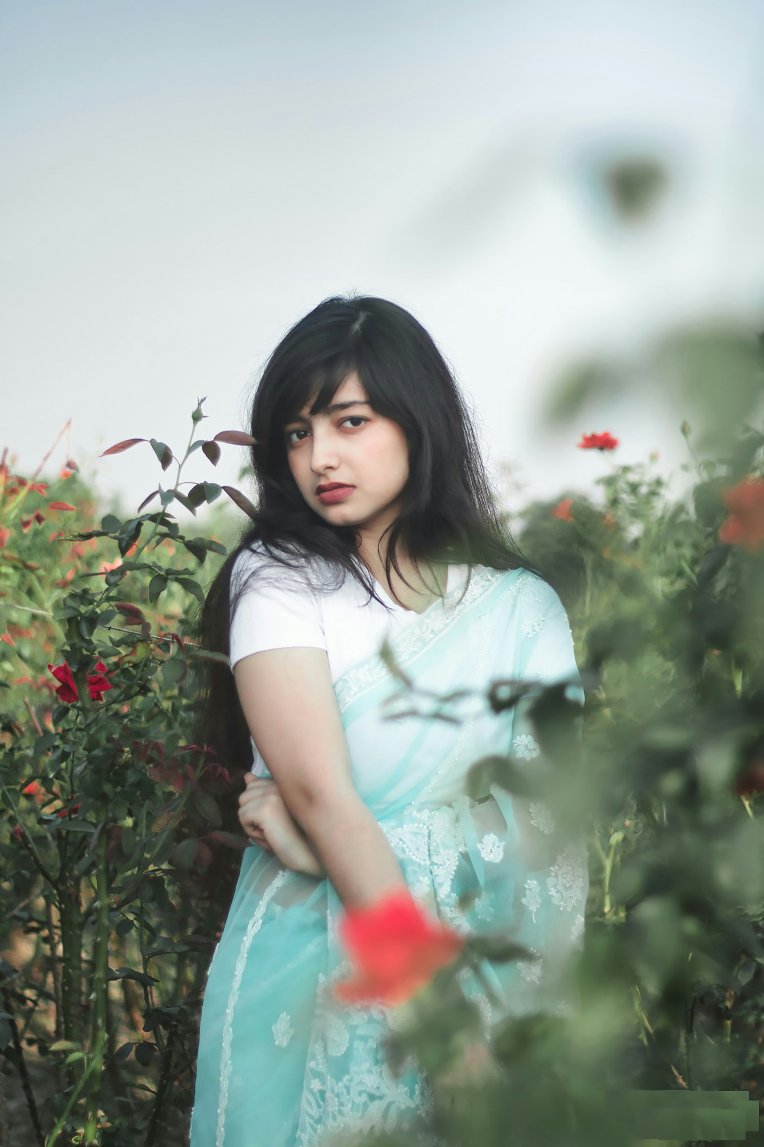 Photo by shahin134053