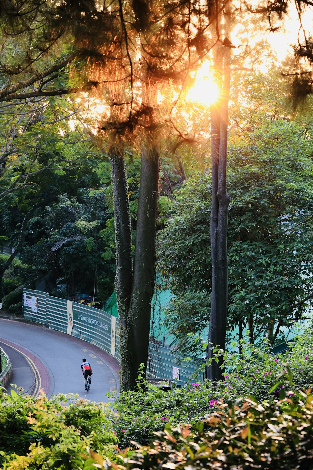 a person riding a motorcycle down a winding road