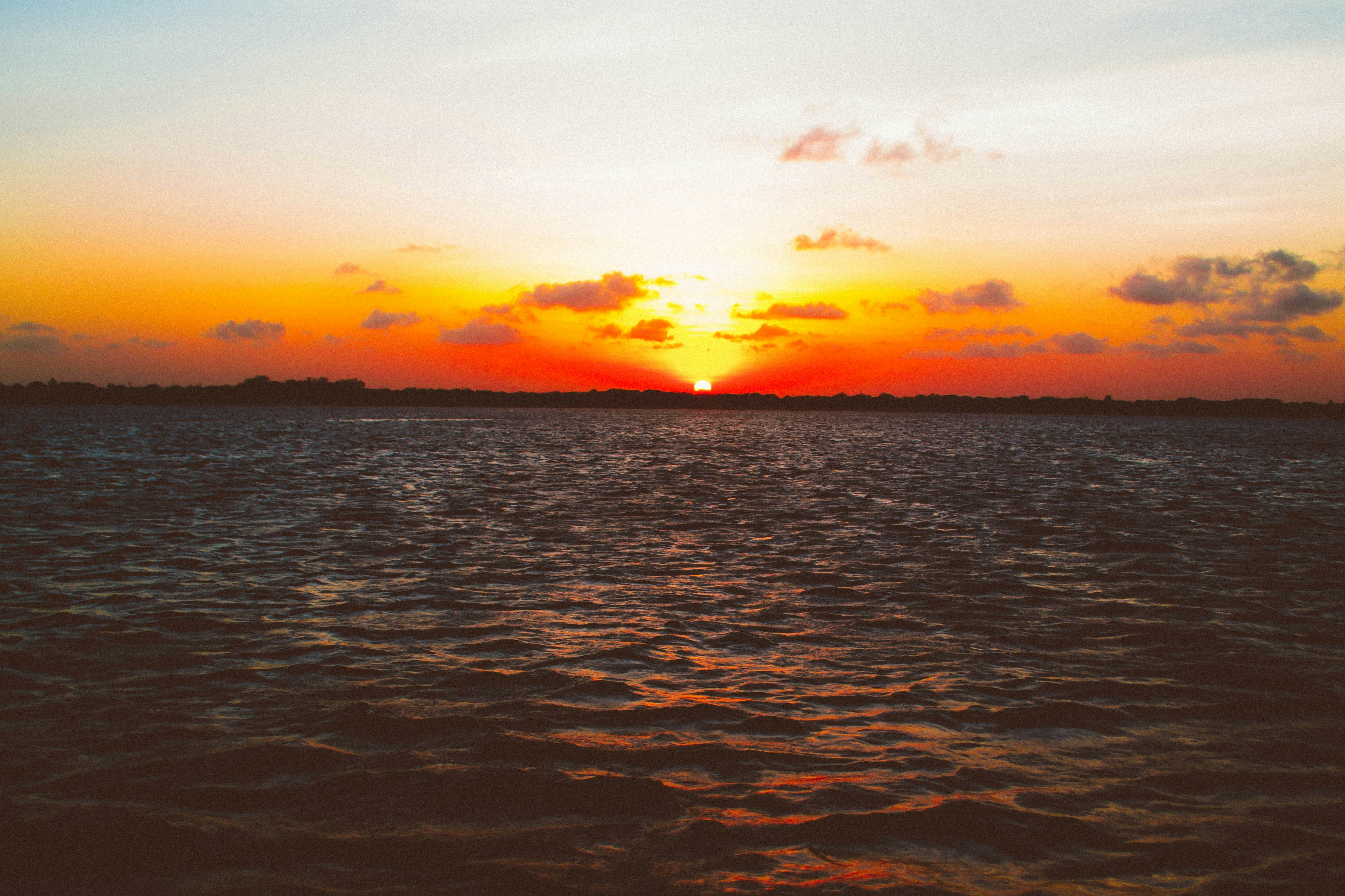 Photo by patriciosouza