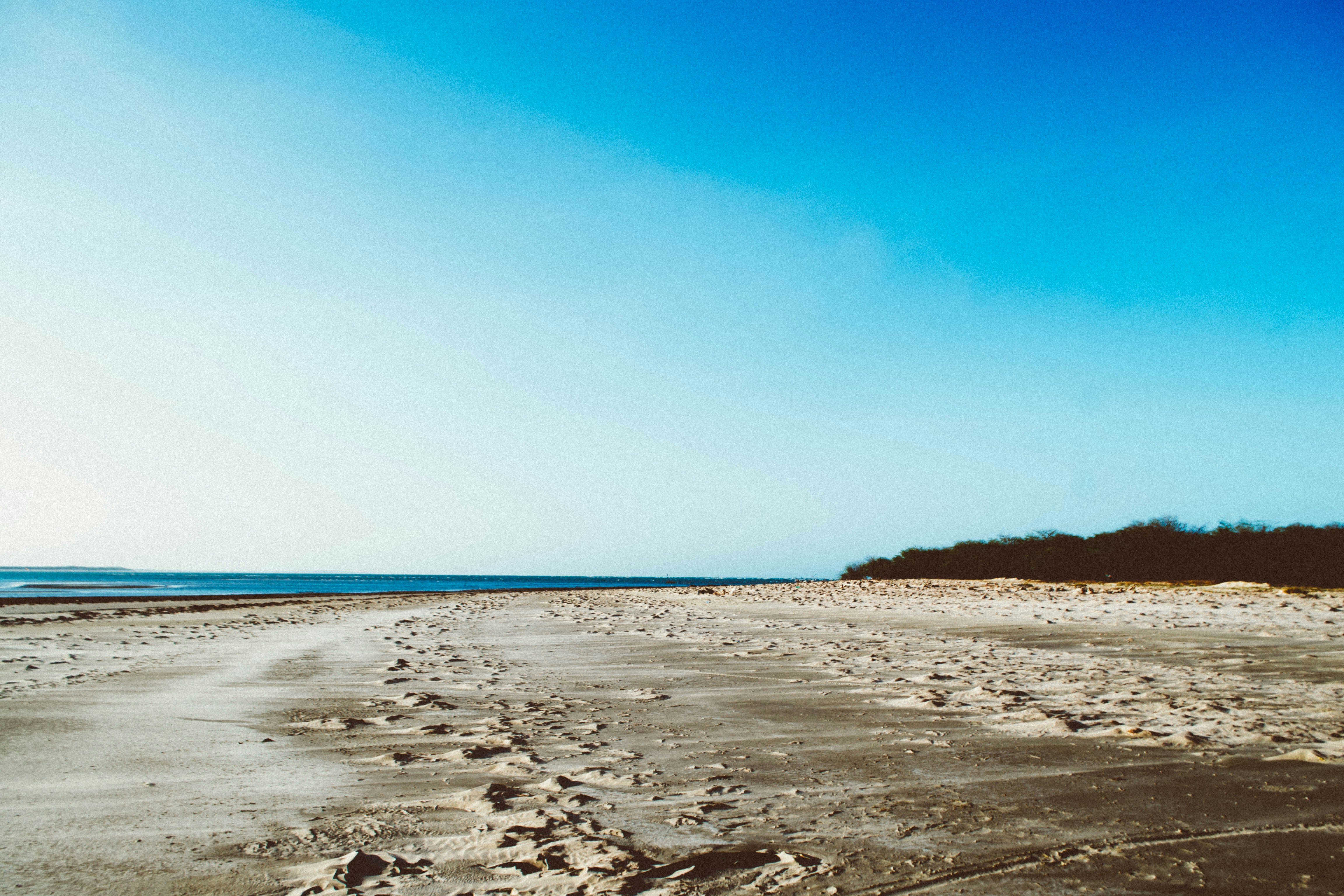 Photo by patriciosouza