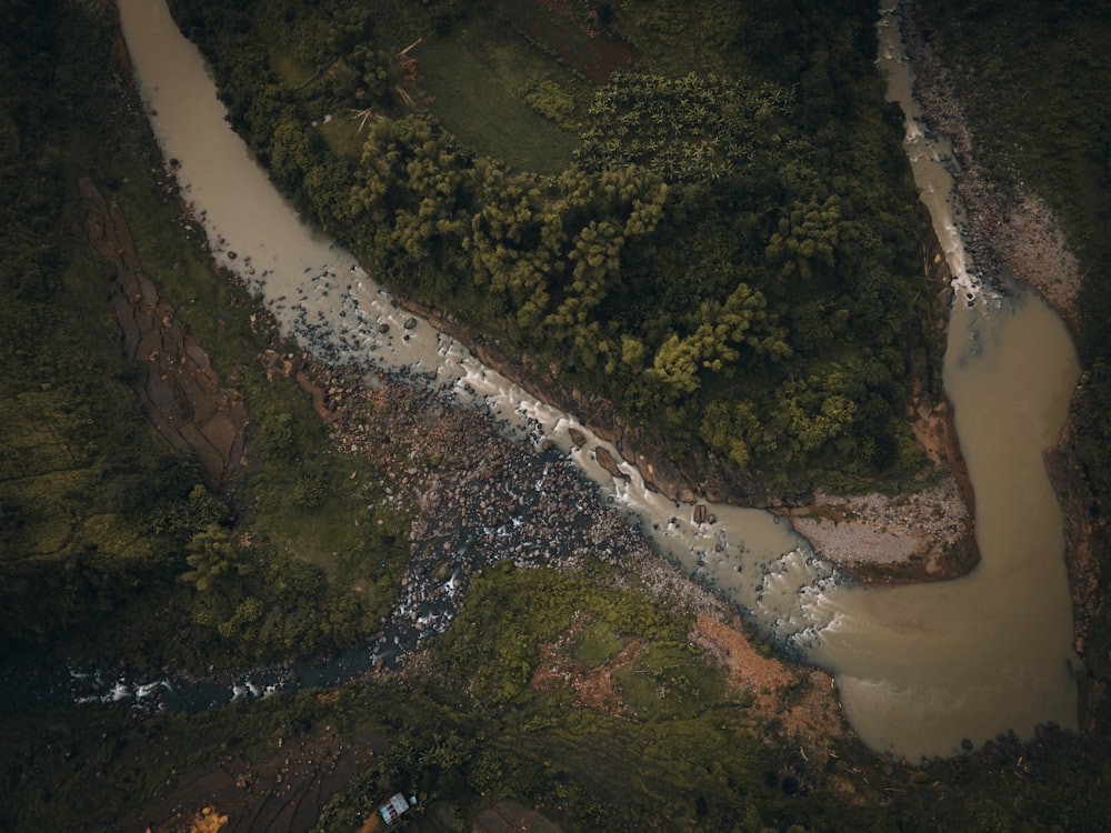 a river running through a lush green forest