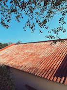 Limpeza de telhas com remoção de musgos e sujidade, restaurando o aspecto original.