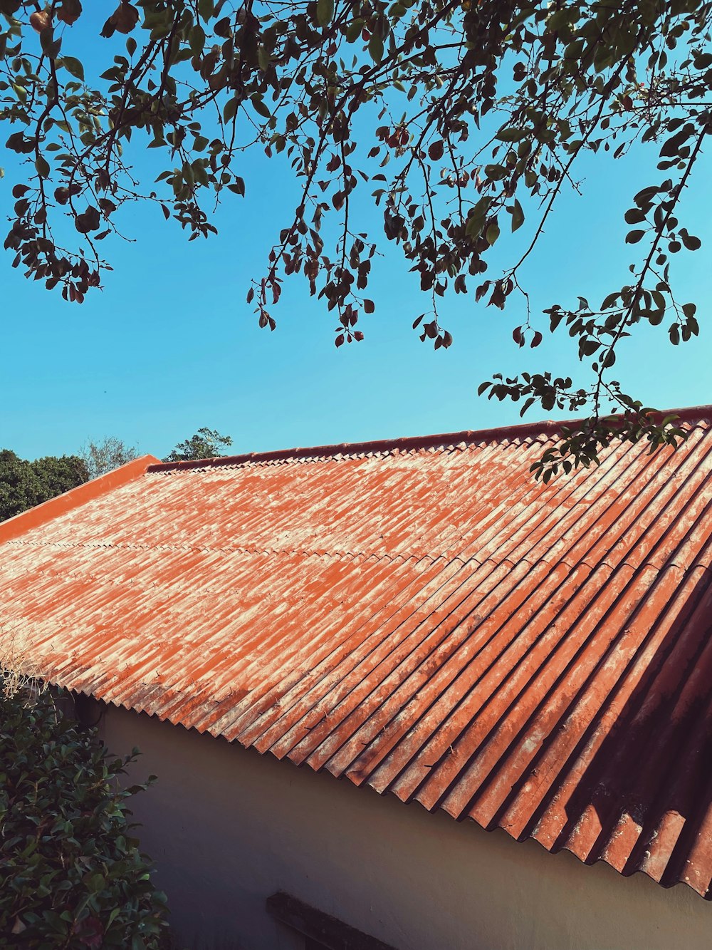 un edificio con un techo rojo y un árbol frente a él