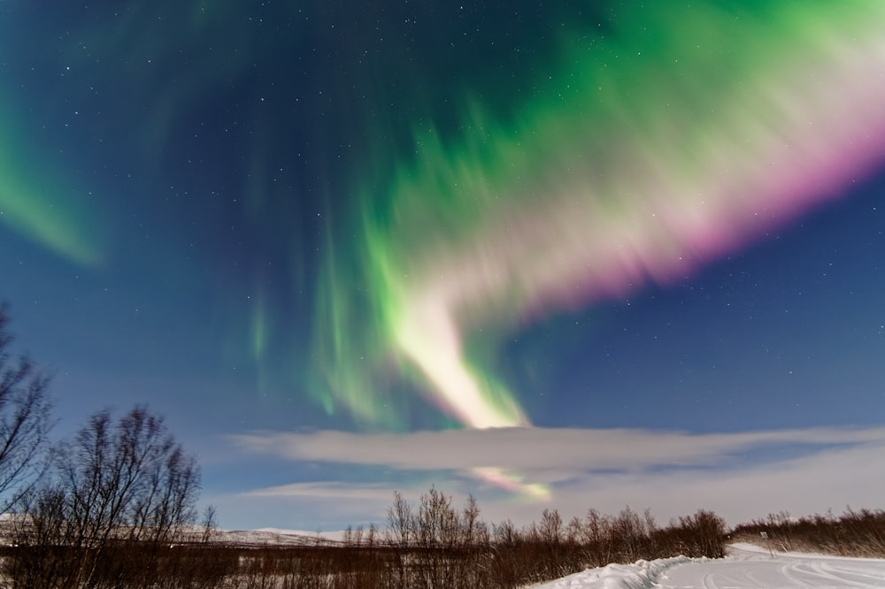 a green and purple aurora bore in the sky