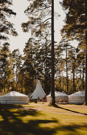 a group of tents set up in the middle of a forest