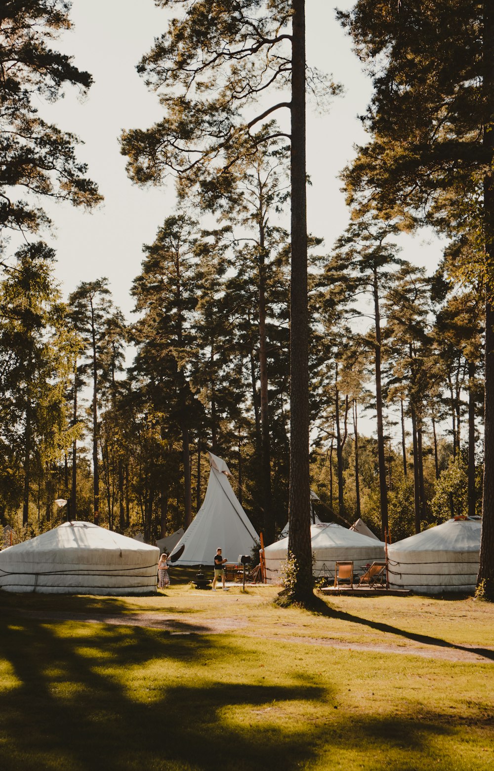 a group of tents set up in the middle of a forest