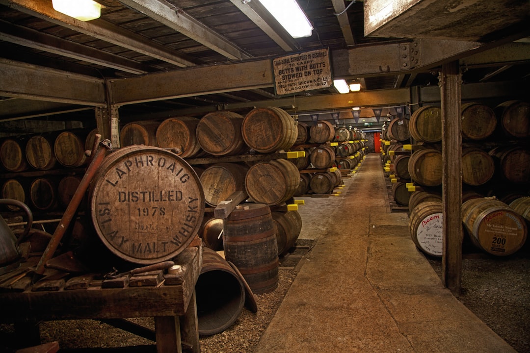 a room filled with lots of wooden barrels, whisky barrels at laphroaig whisky distillery
