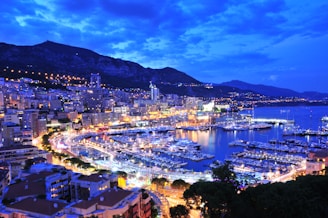 a harbor filled with lots of boats at night