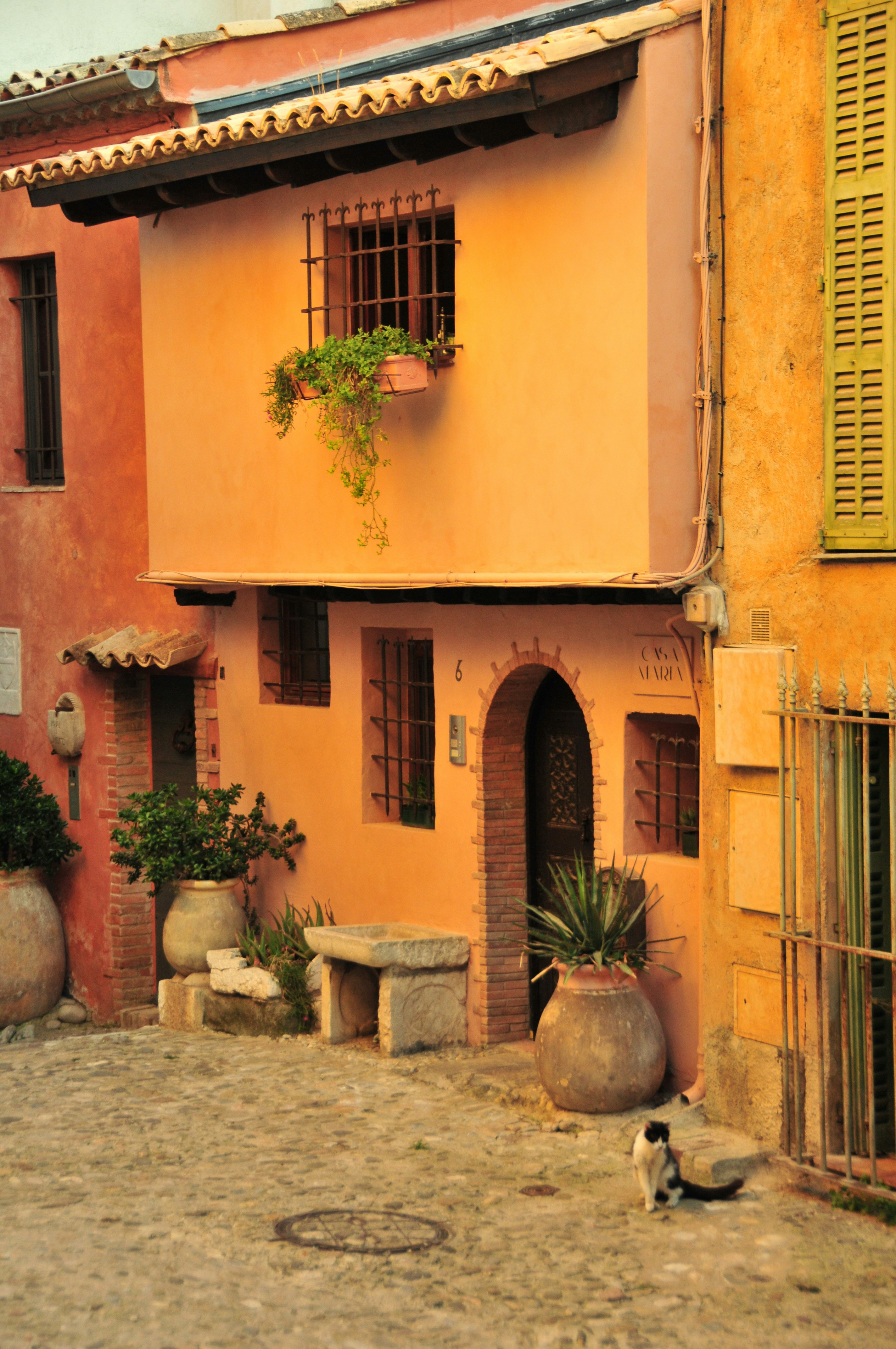 Photo by amiraaartistry