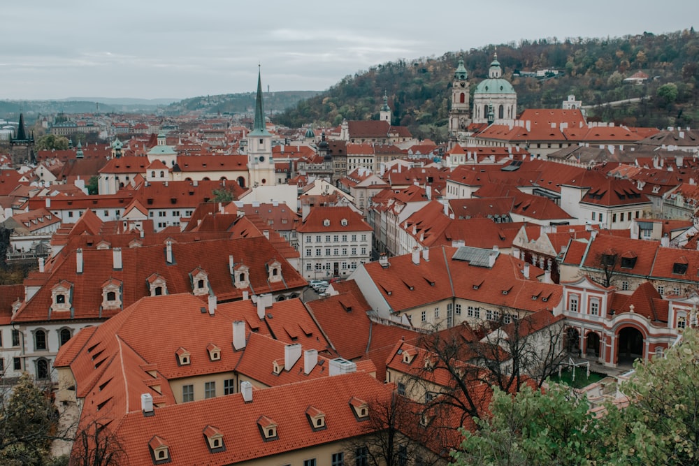 a view of a city with many red roofs