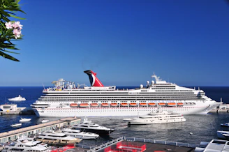 a cruise ship docked in a harbor next to other boats