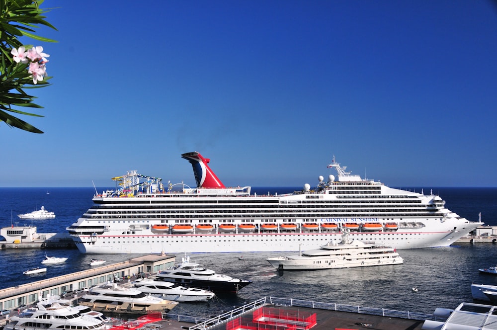 a cruise ship docked in a harbor next to other boats