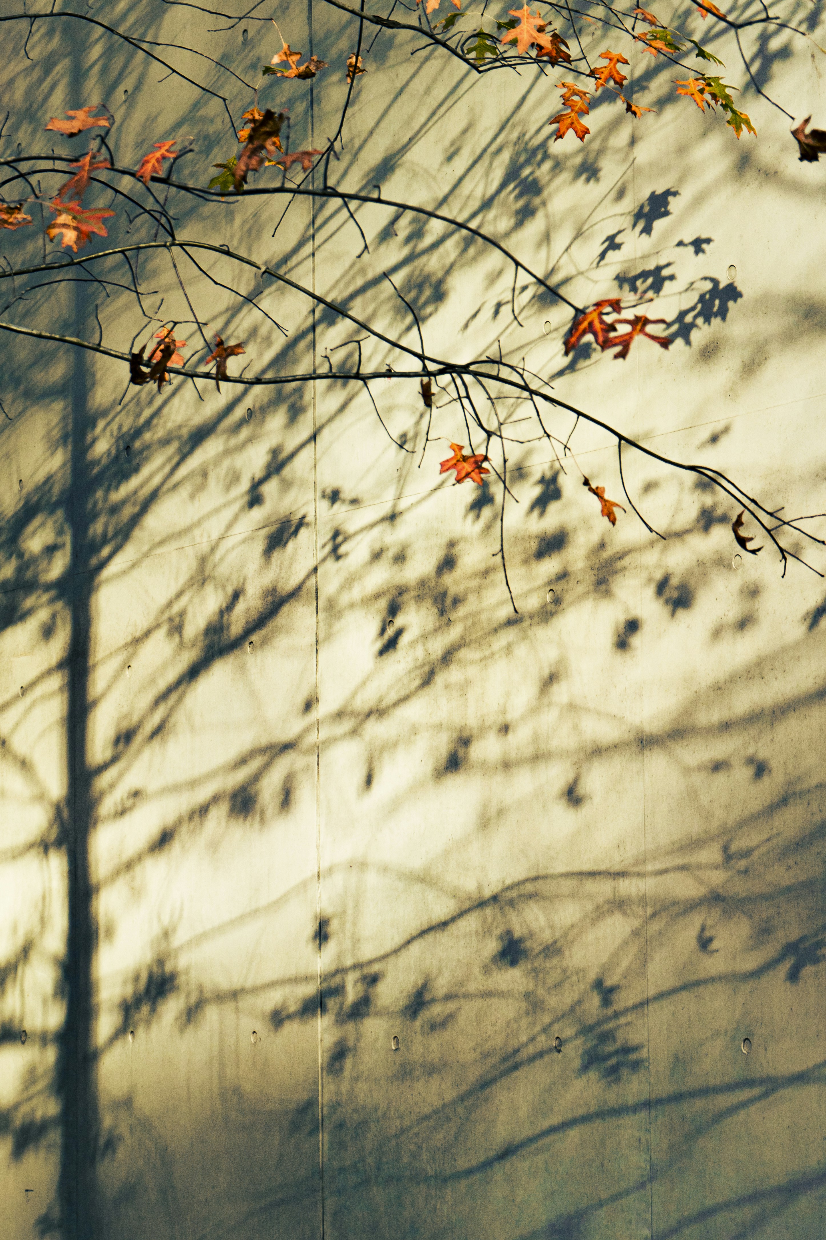 Photo by jeffreyzhang_920