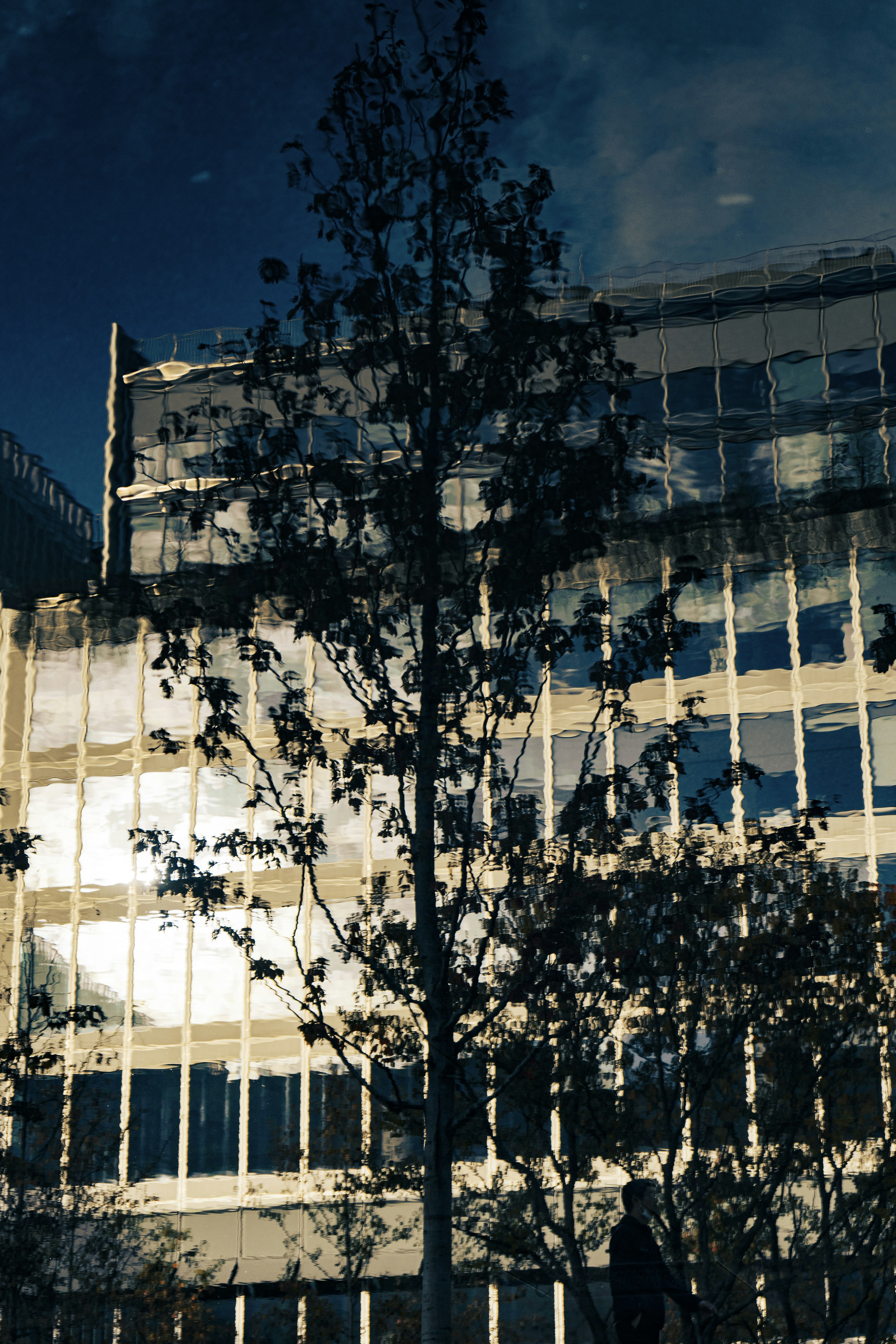 Photo by jeffreyzhang_920