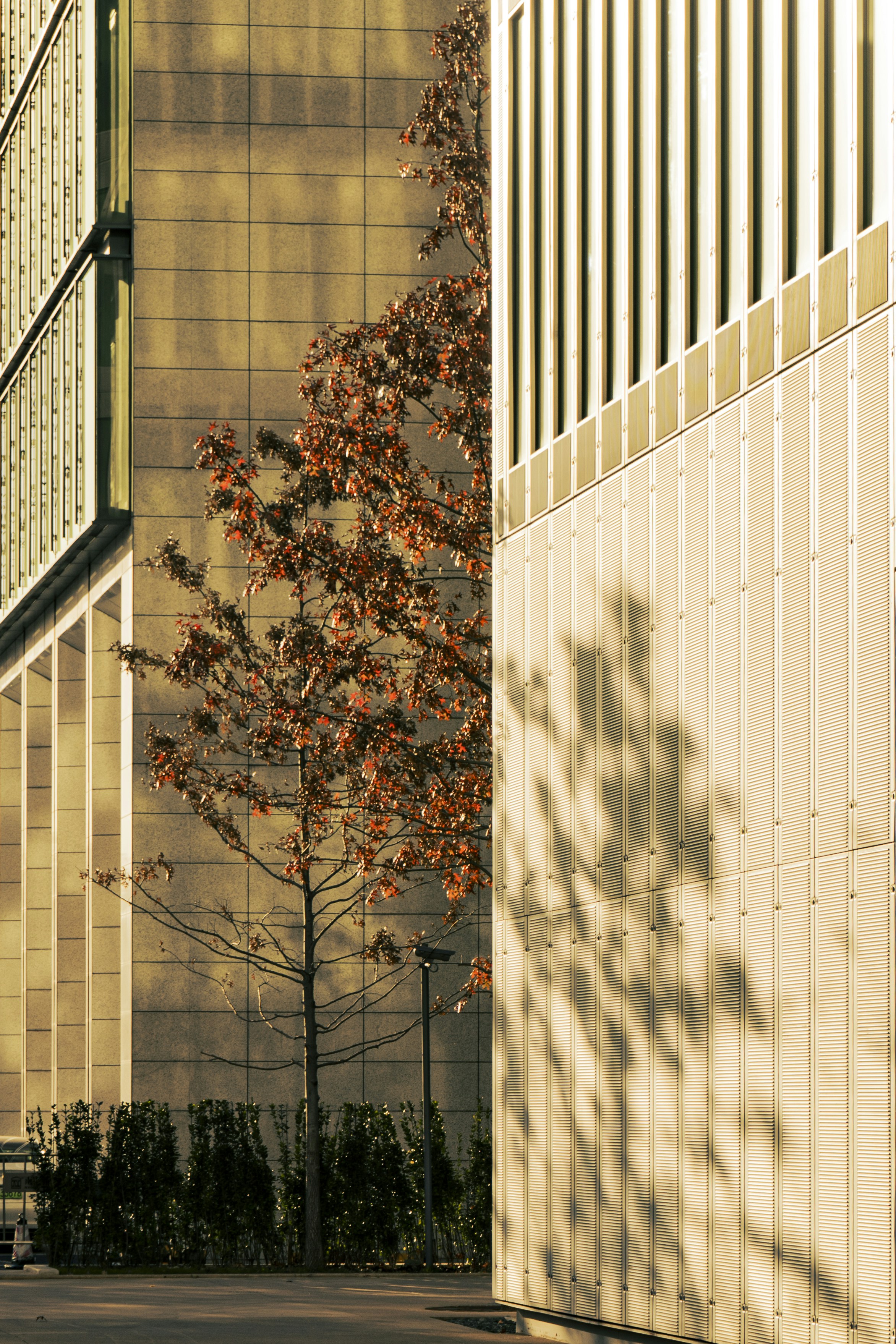 Photo by jeffreyzhang_920