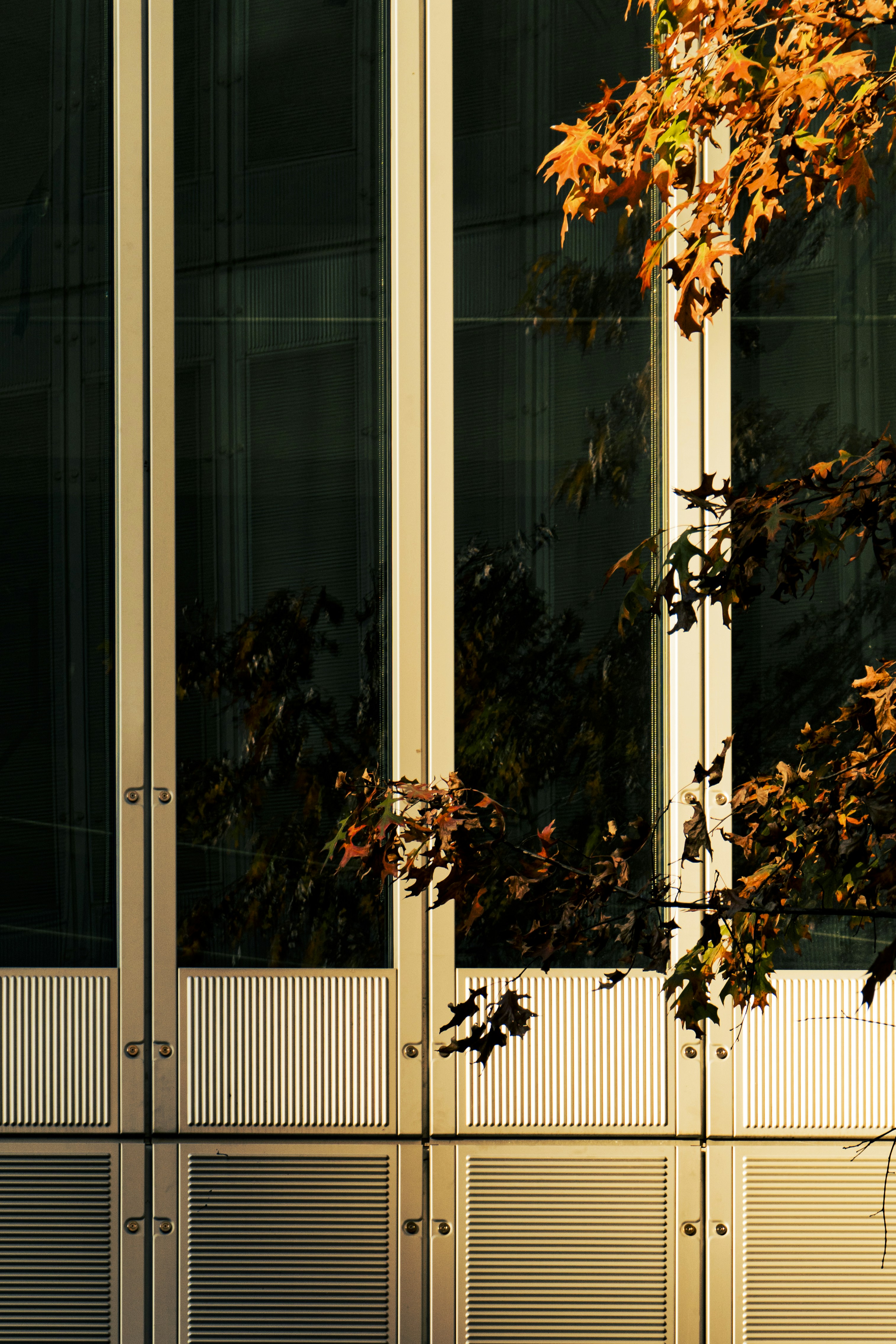 Photo by jeffreyzhang_920