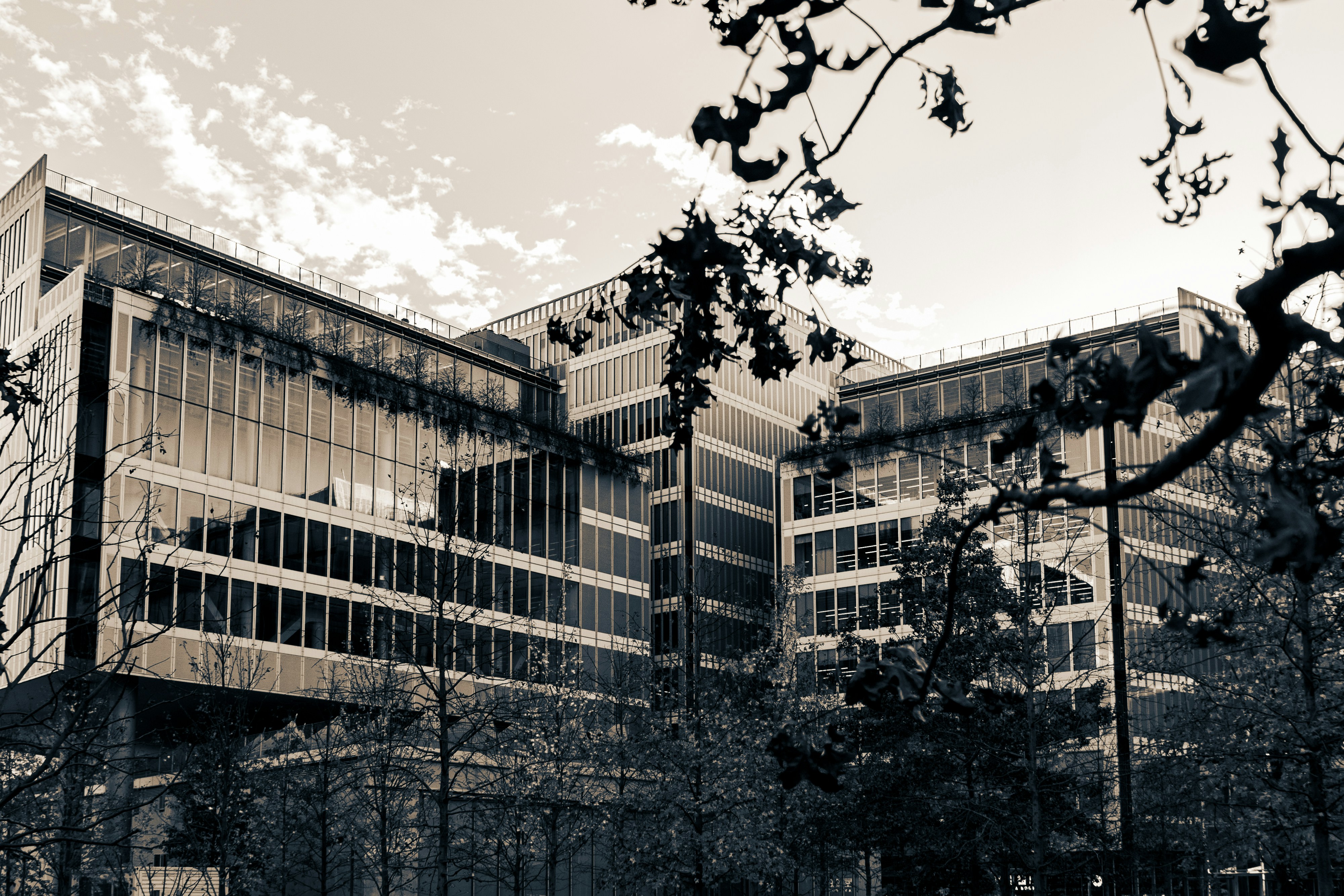 Photo by jeffreyzhang_920