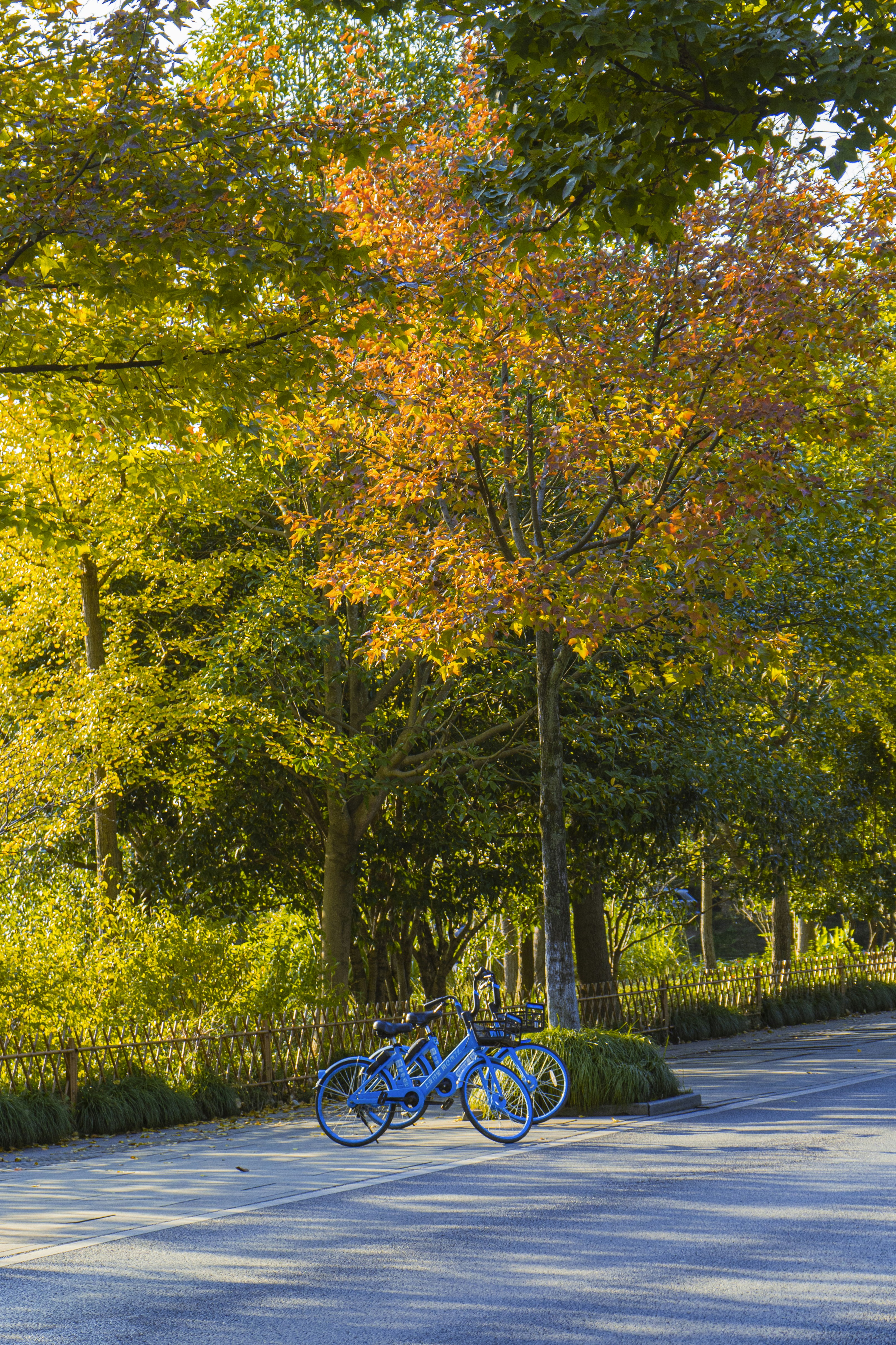 Photo by jeffreyzhang_920