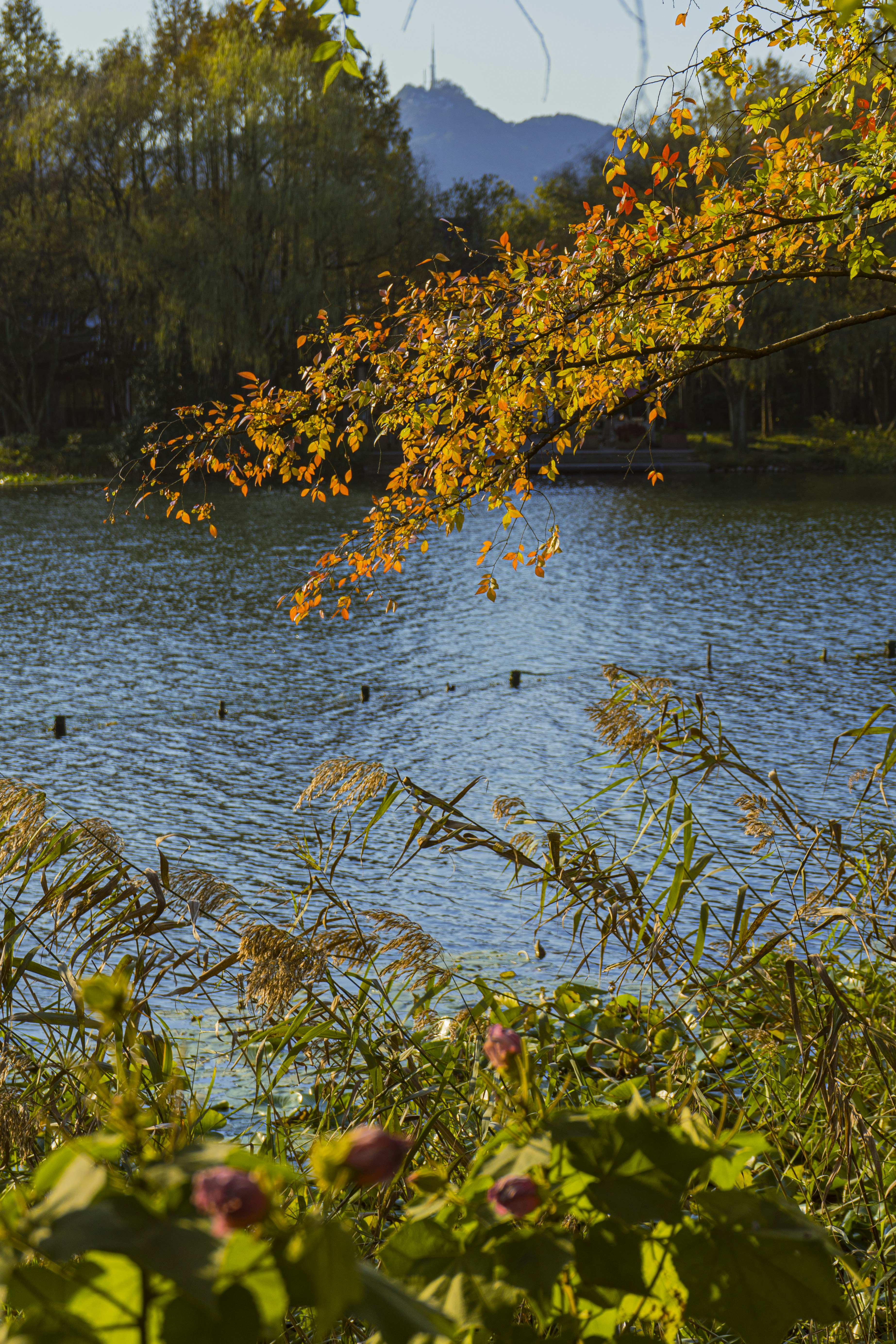 Photo by jeffreyzhang_920