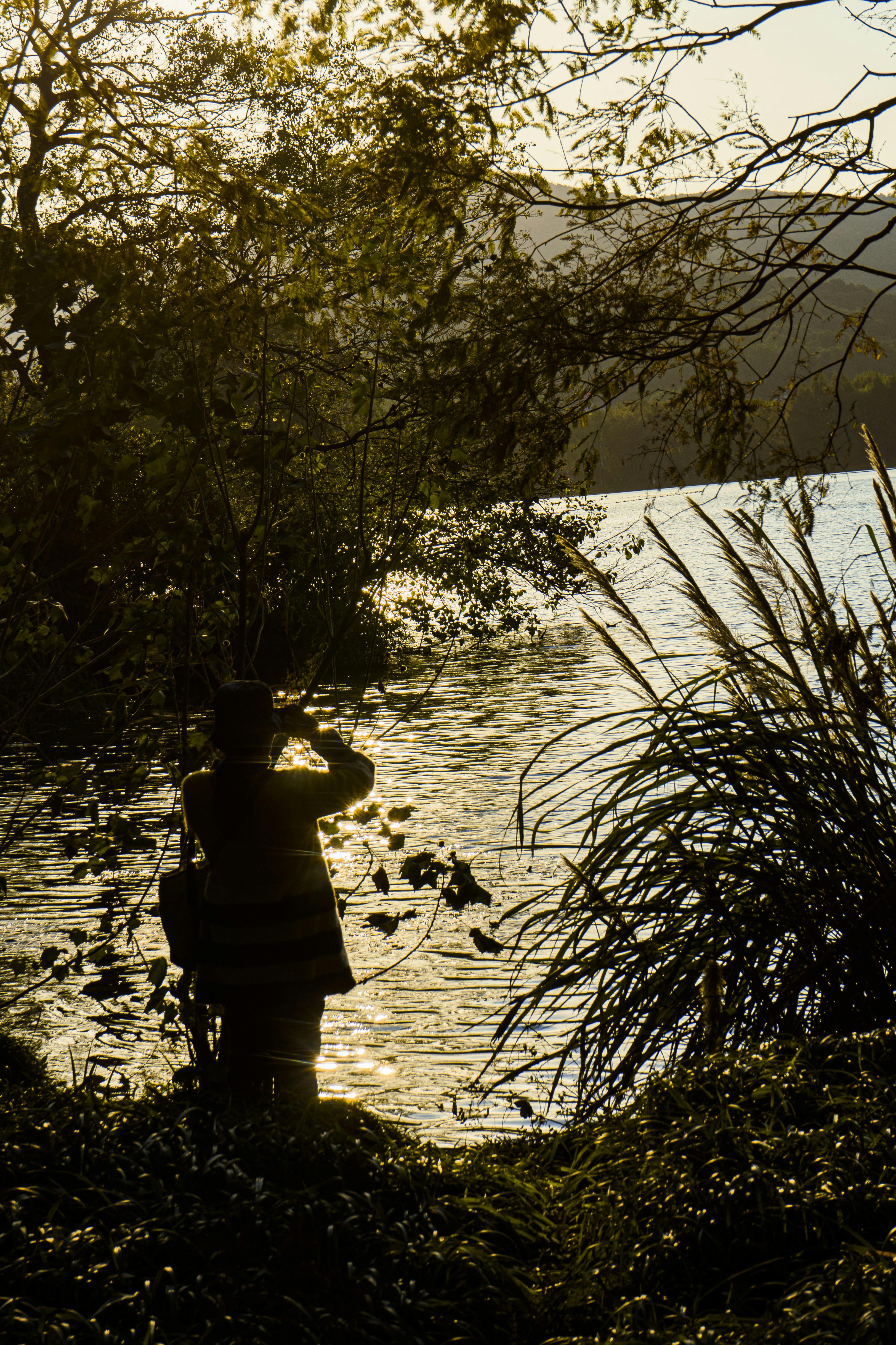 a fire hydrant sitting next to a body of water