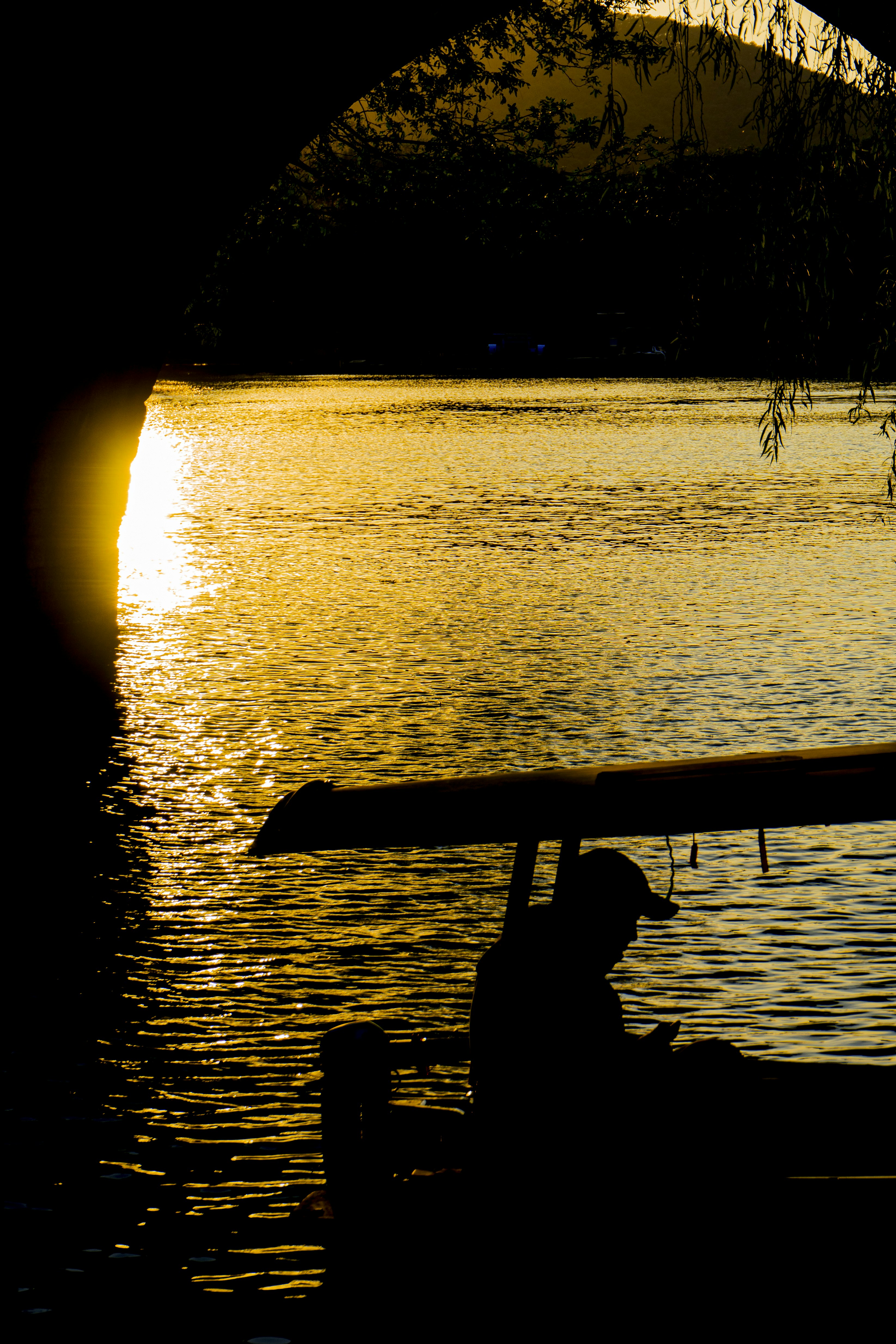 Photo by jeffreyzhang_920