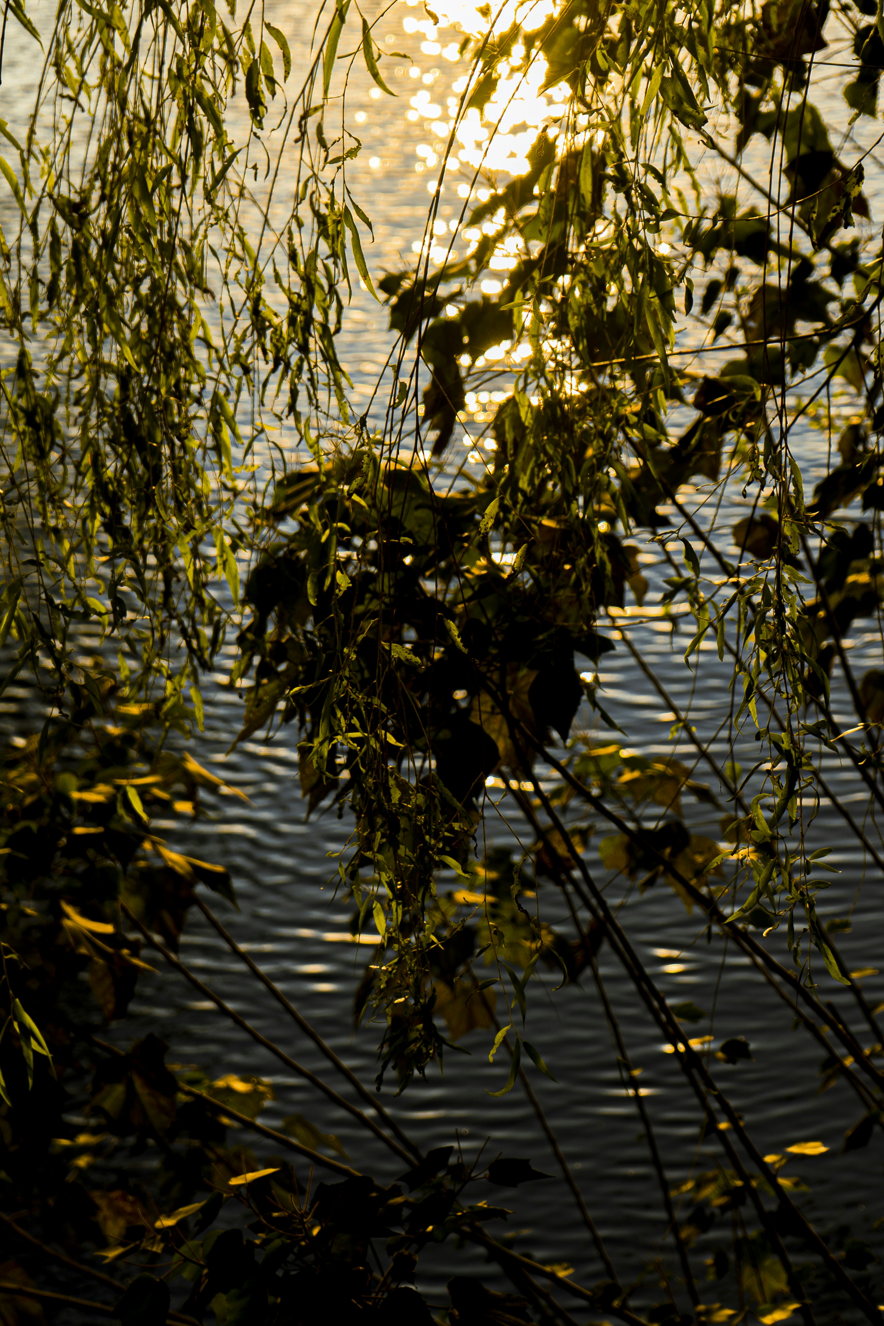 Photo by jeffreyzhang_920