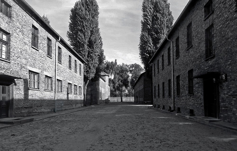 벽돌 건물이있는 거리의 흑백 사진