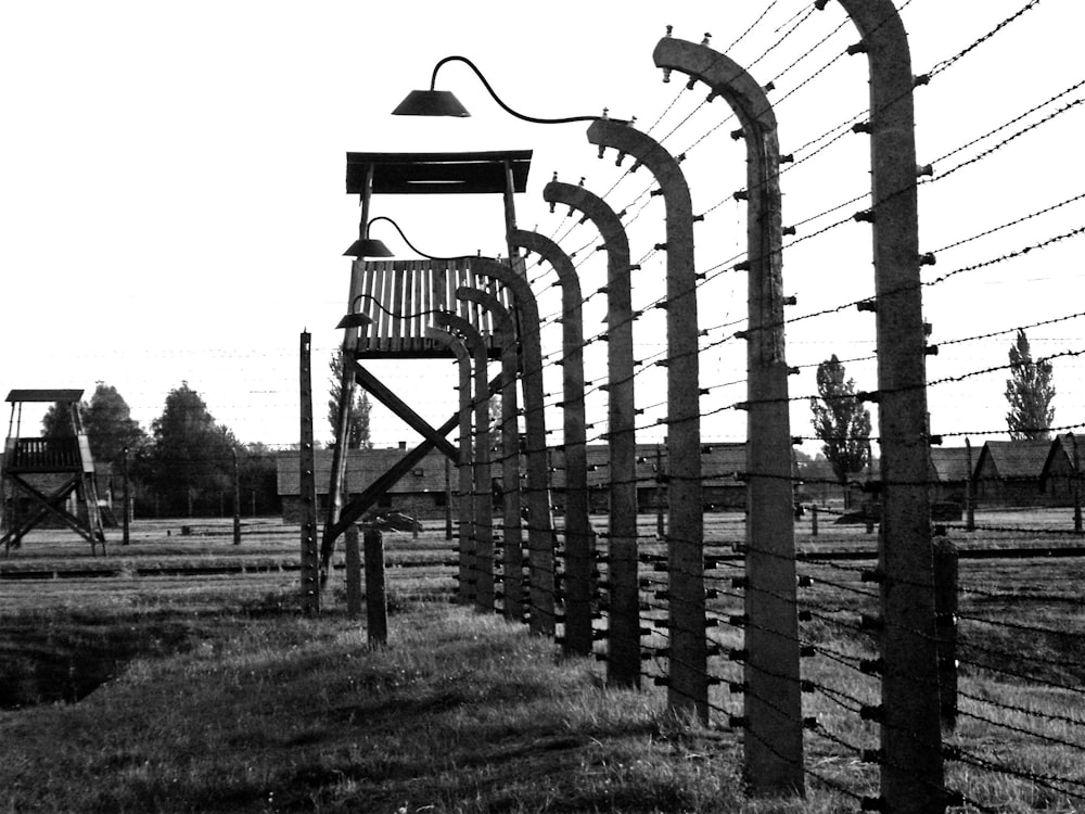 a black and white photo of a row of fences