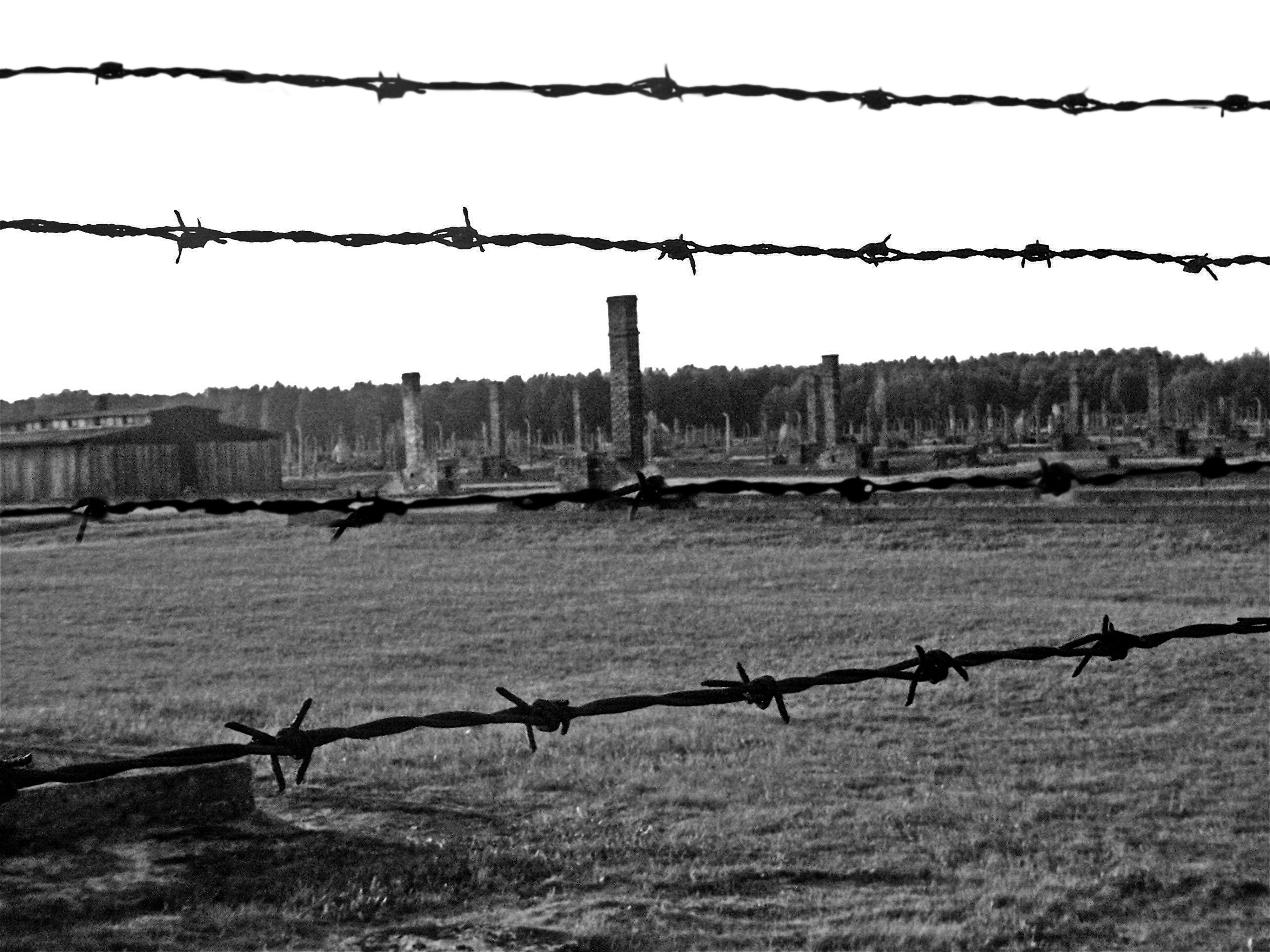 a black and white photo of a barbed wire fence